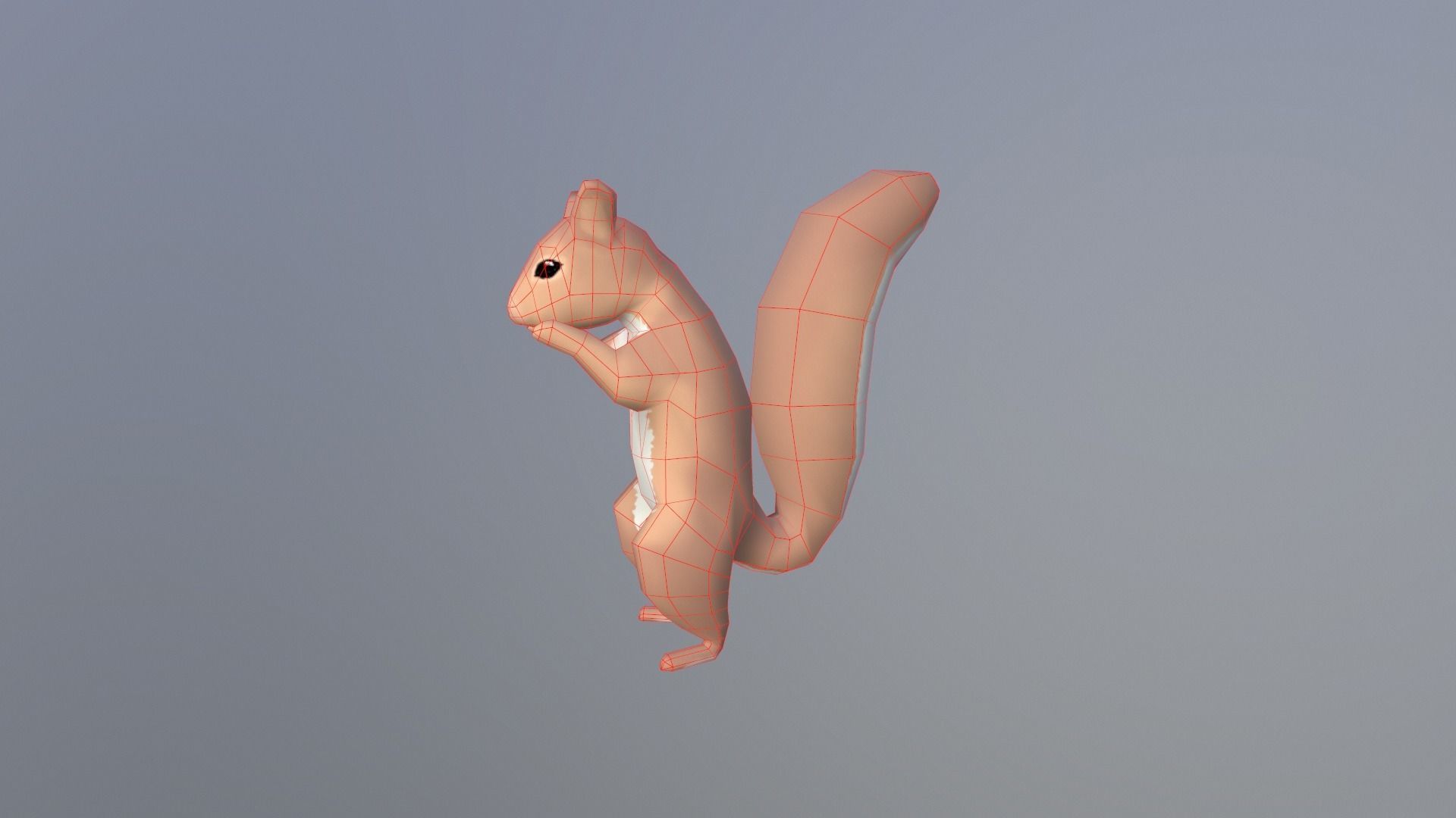 Low-poly Squirrel Low-poly 3D model_6