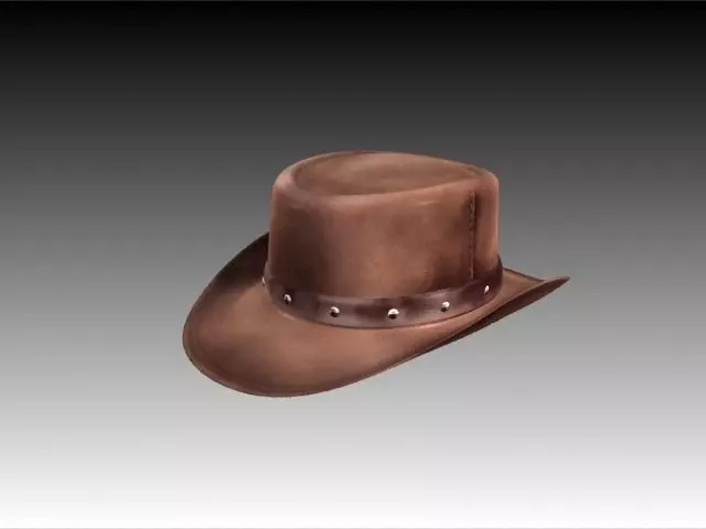 Django Hat Low-poly 3D model