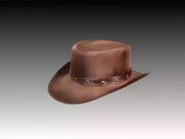 Django Hat Low-poly 3D model