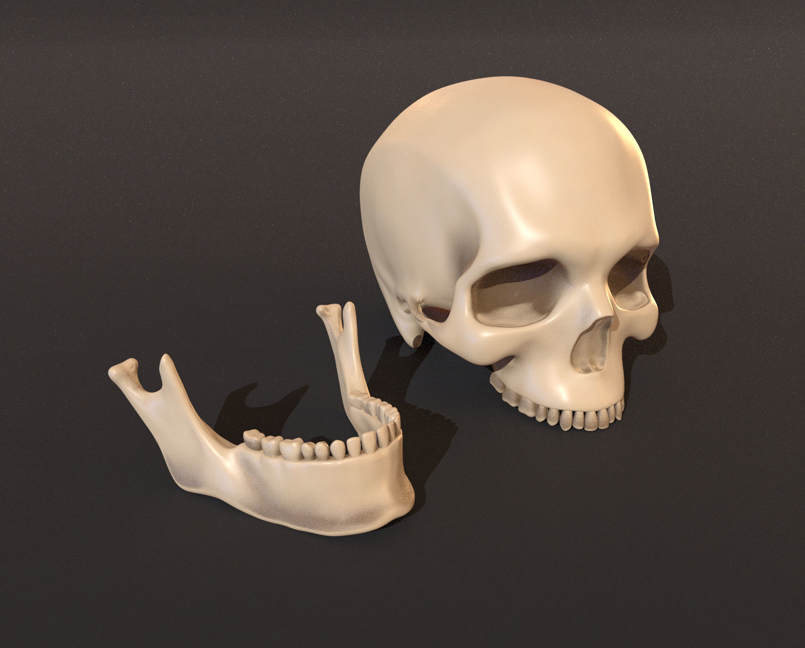 Human male skeleton 3D model_8