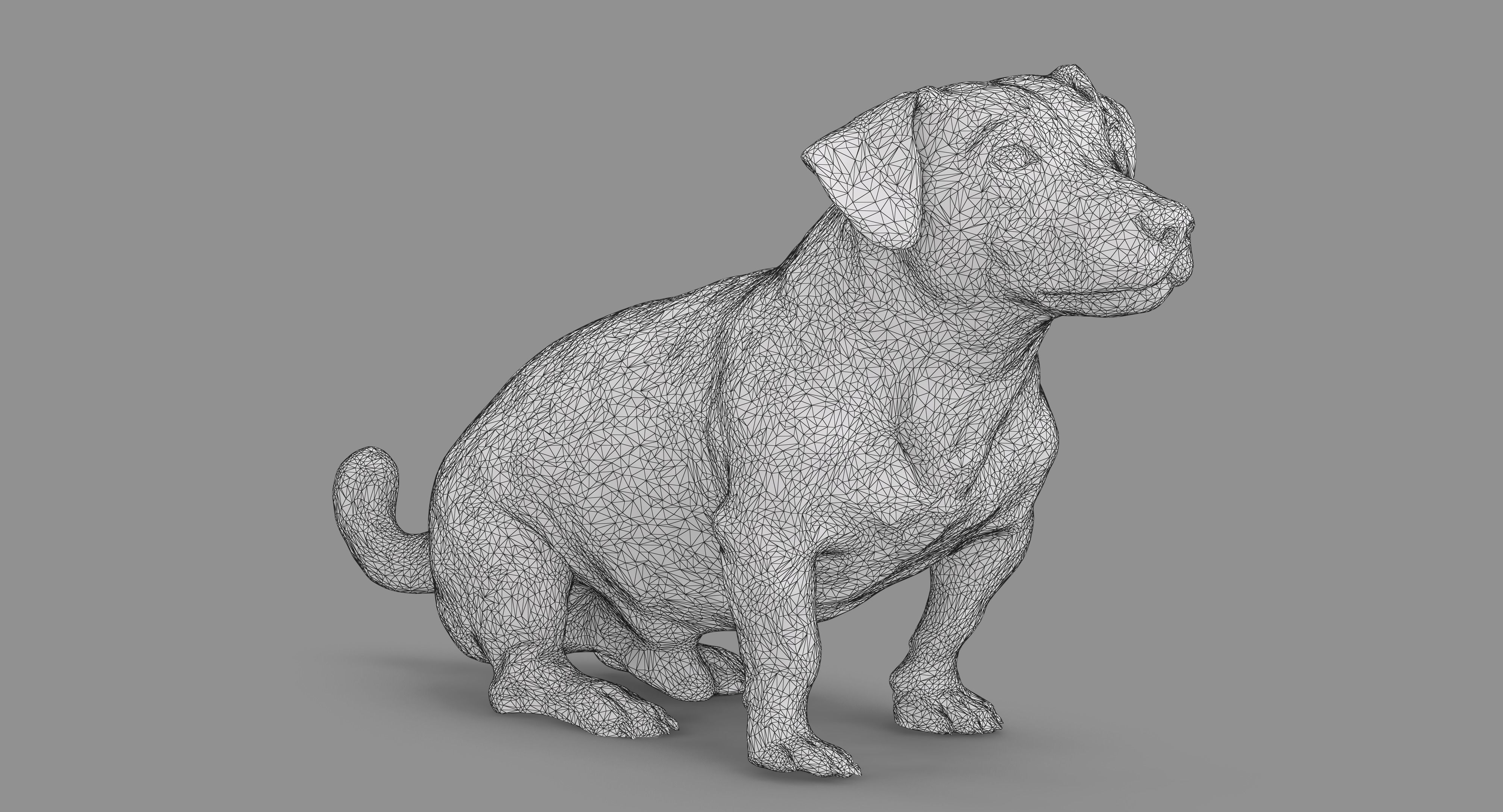 Jack Russell Sitting Low-poly 3D model_46
