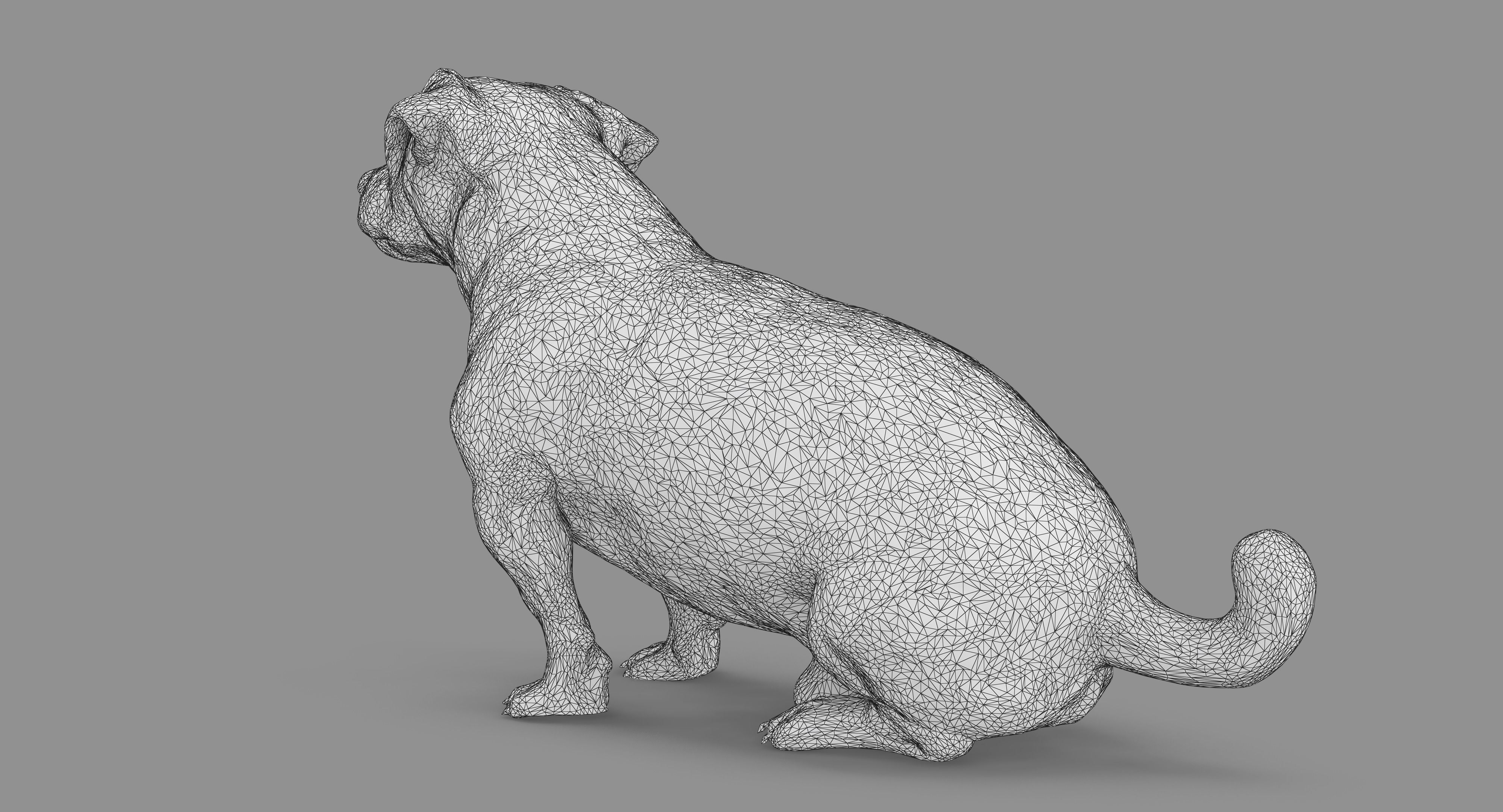 Jack Russell Sitting Low-poly 3D model_70