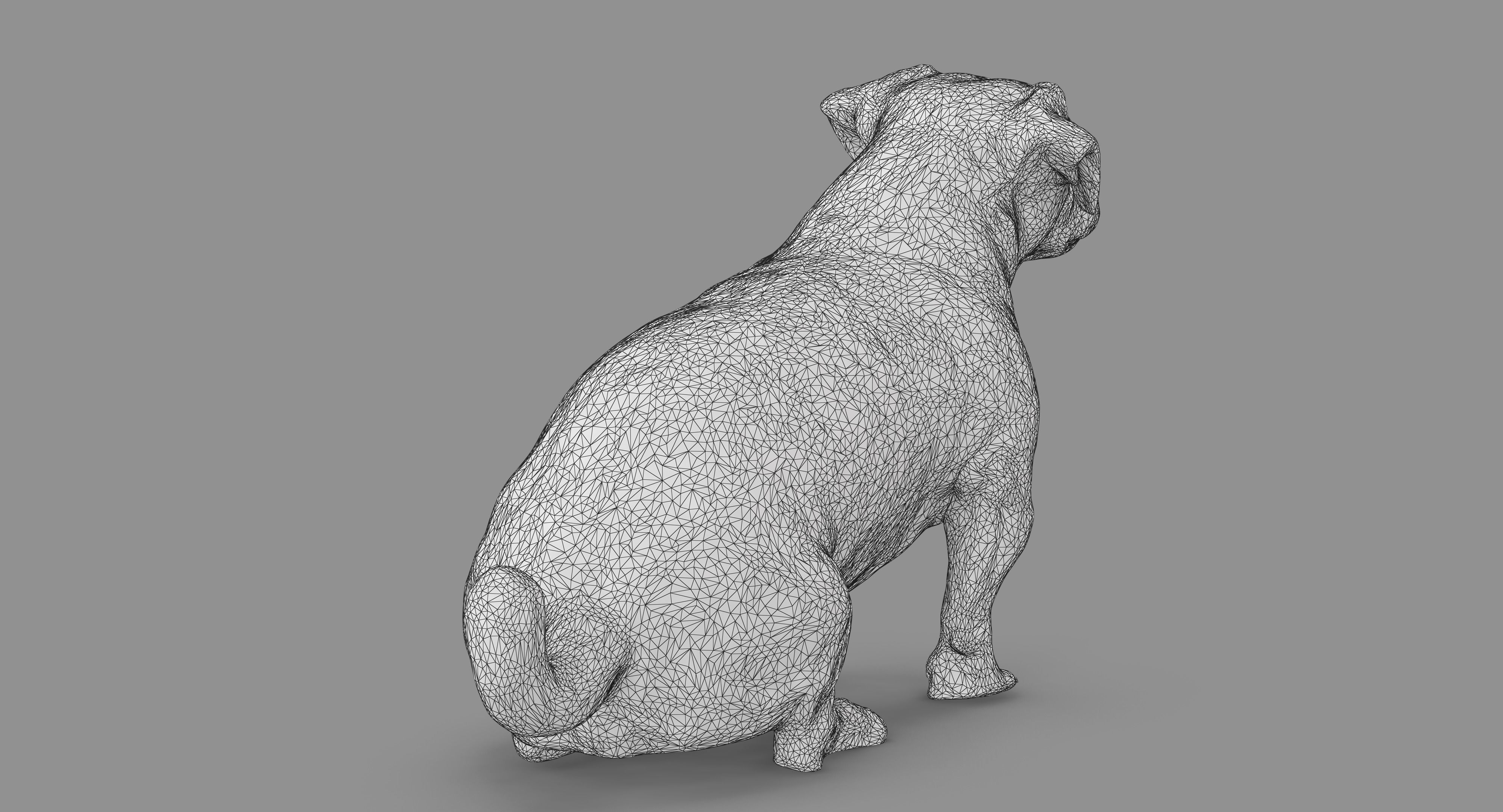 Jack Russell Sitting Low-poly 3D model_60