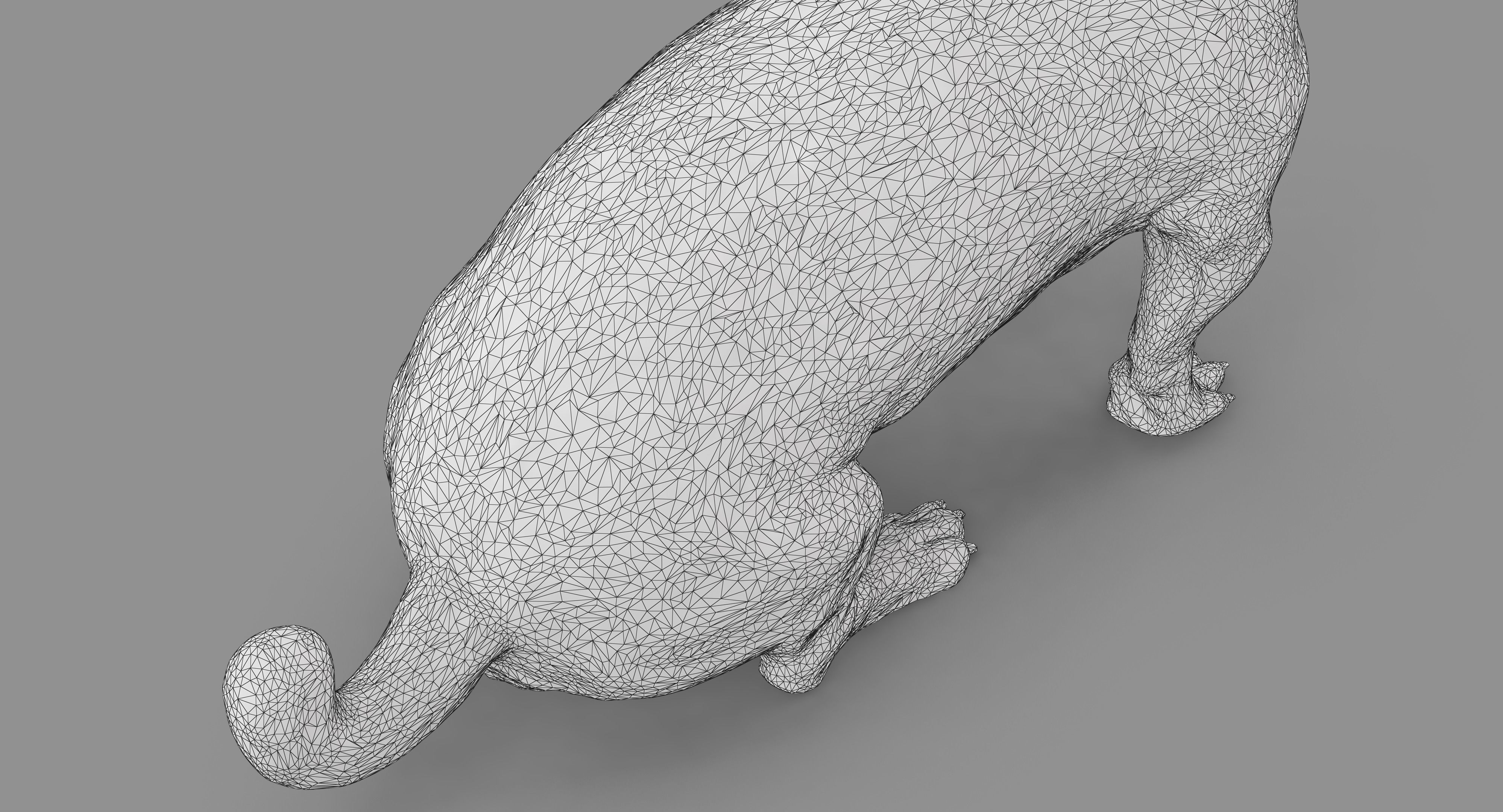 Jack Russell Sitting Low-poly 3D model_34