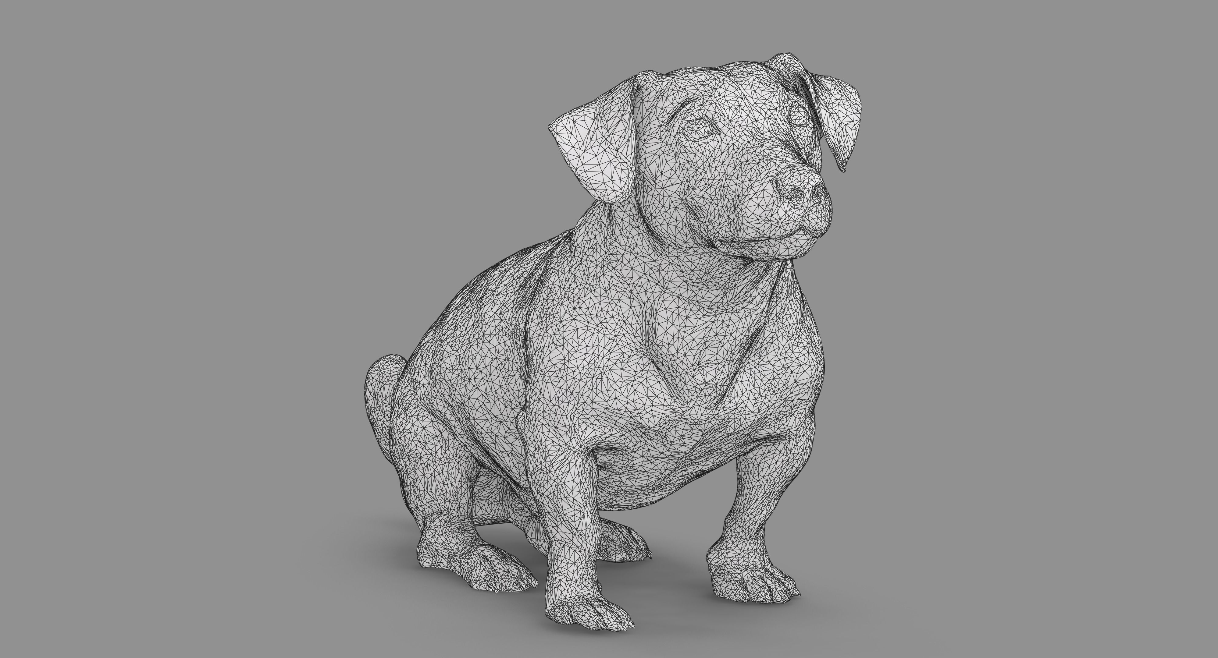 Jack Russell Sitting Low-poly 3D model_44