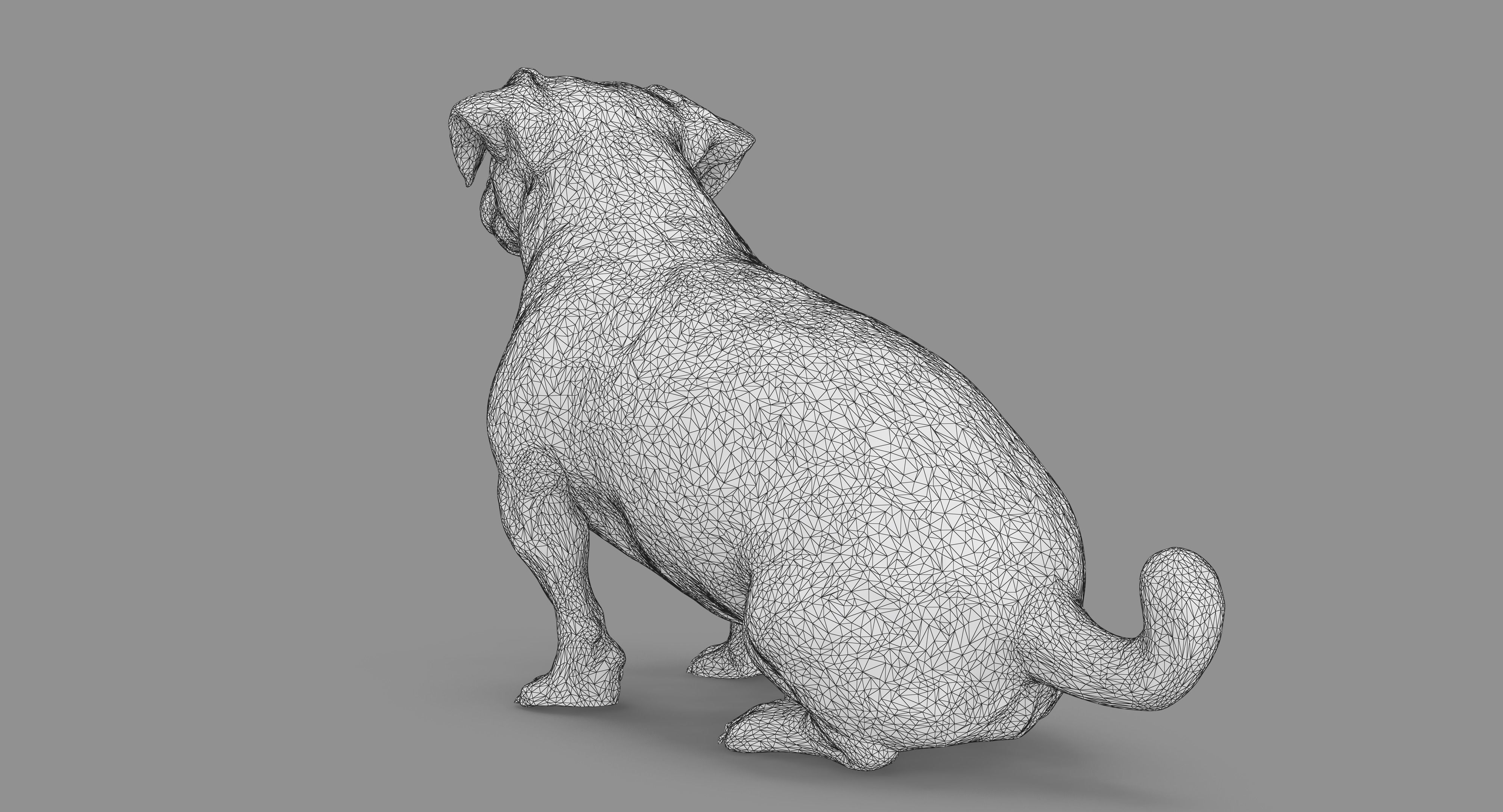 Jack Russell Sitting Low-poly 3D model_68