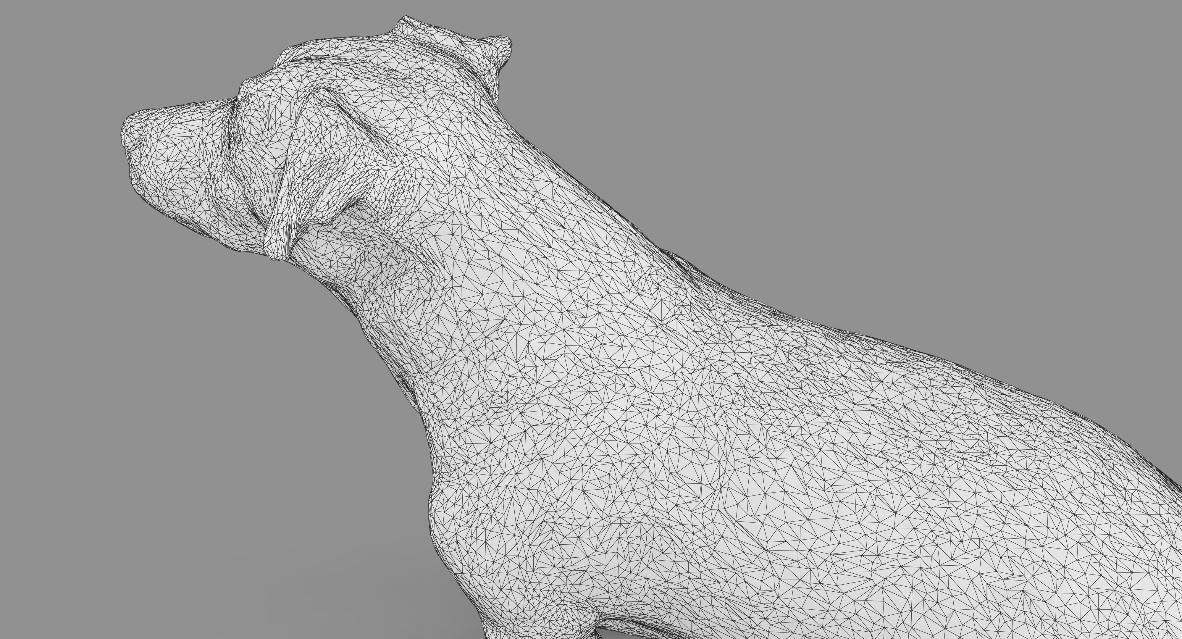 Jack Russell Sitting Low-poly 3D model_38