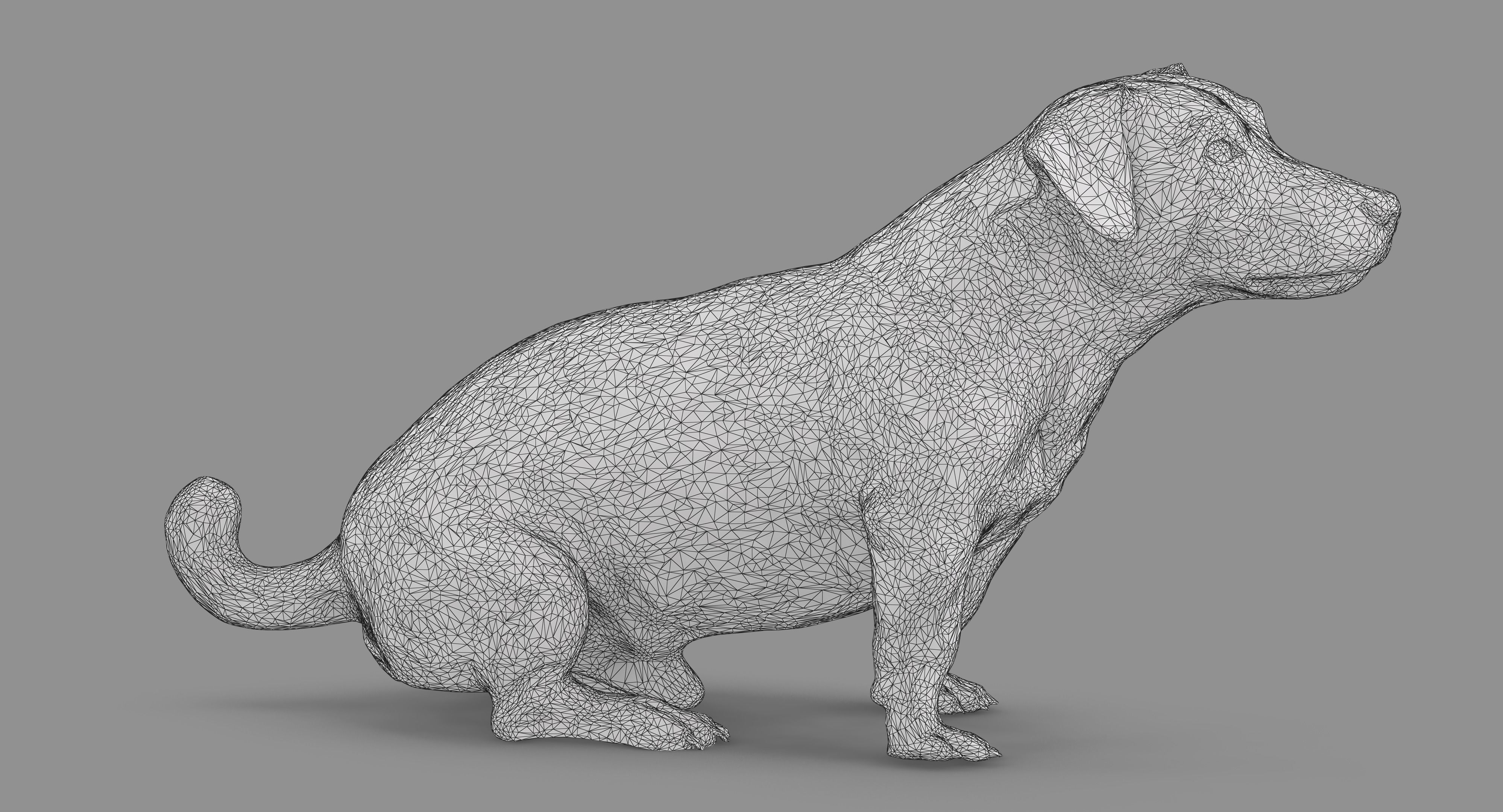 Jack Russell Sitting Low-poly 3D model_50