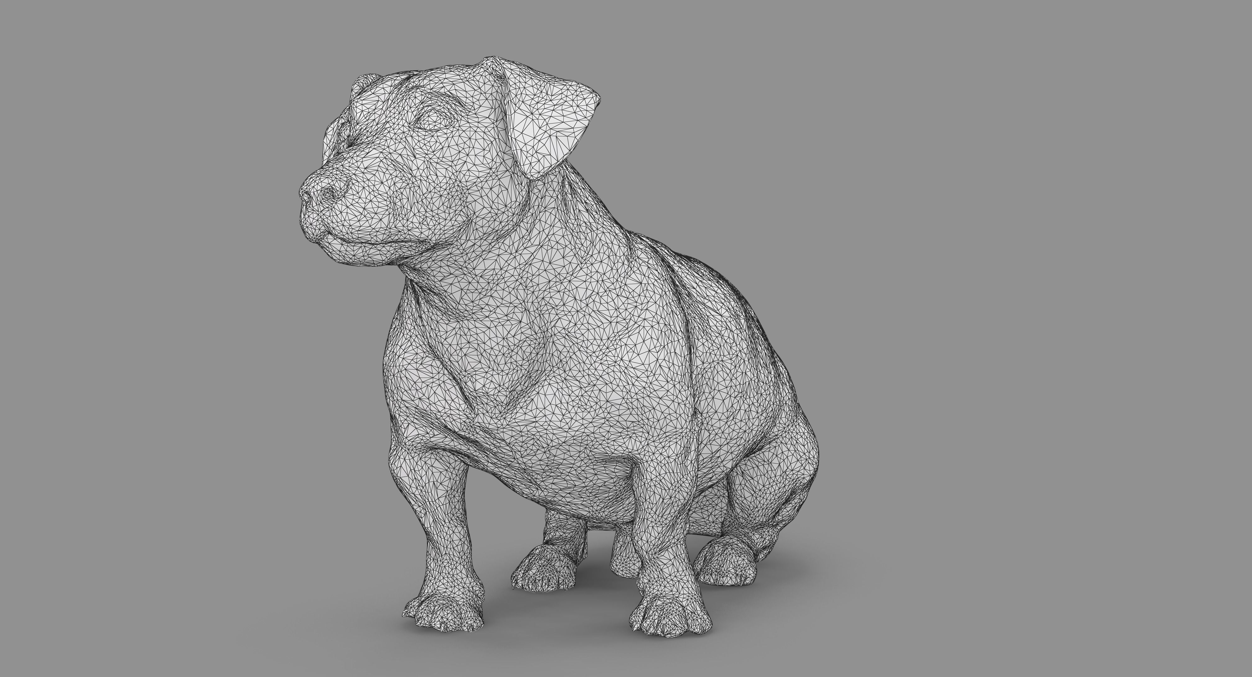 Jack Russell Sitting Low-poly 3D model_84