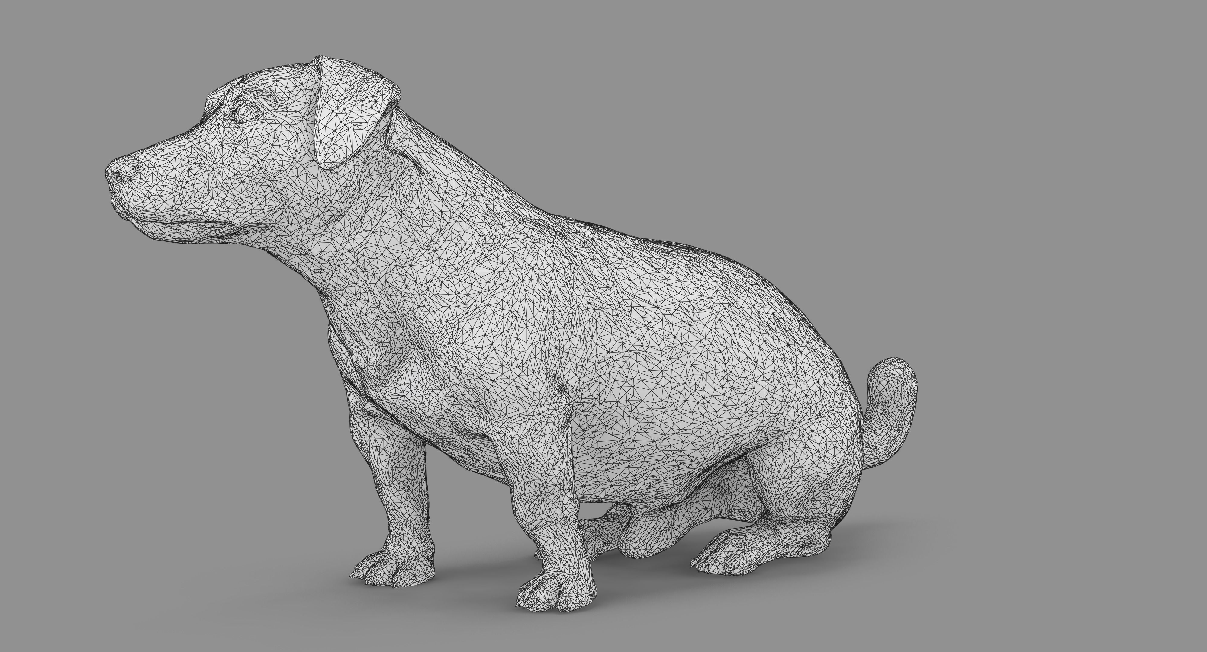 Jack Russell Sitting Low-poly 3D model_80
