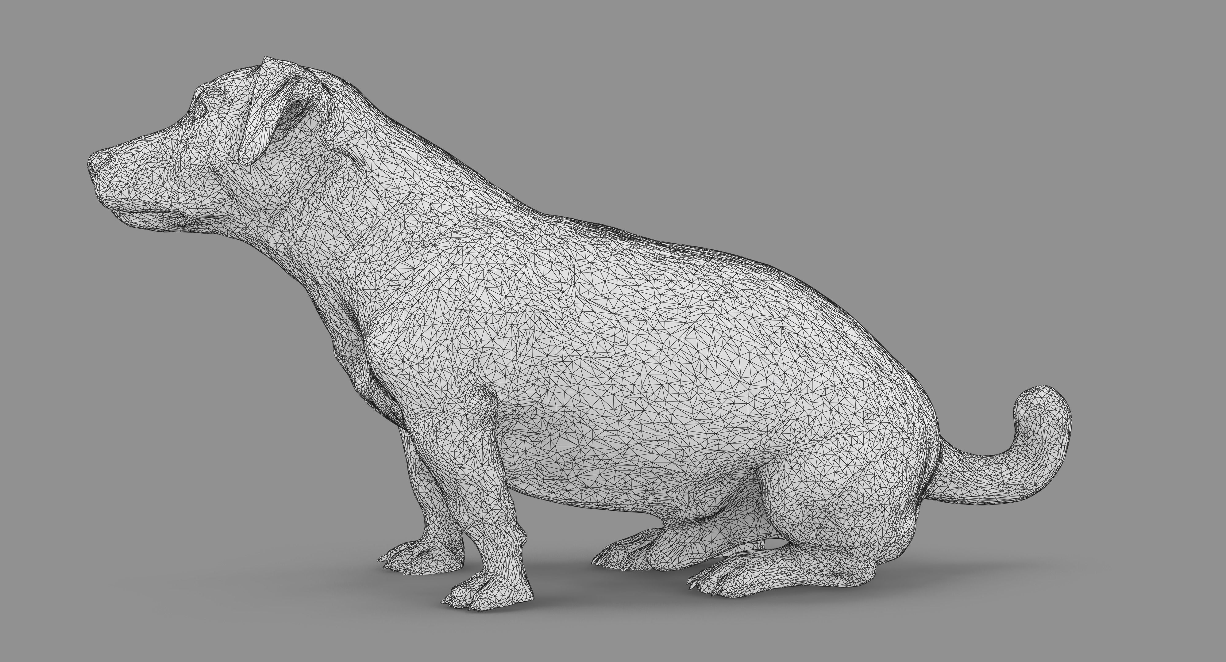 Jack Russell Sitting Low-poly 3D model_76