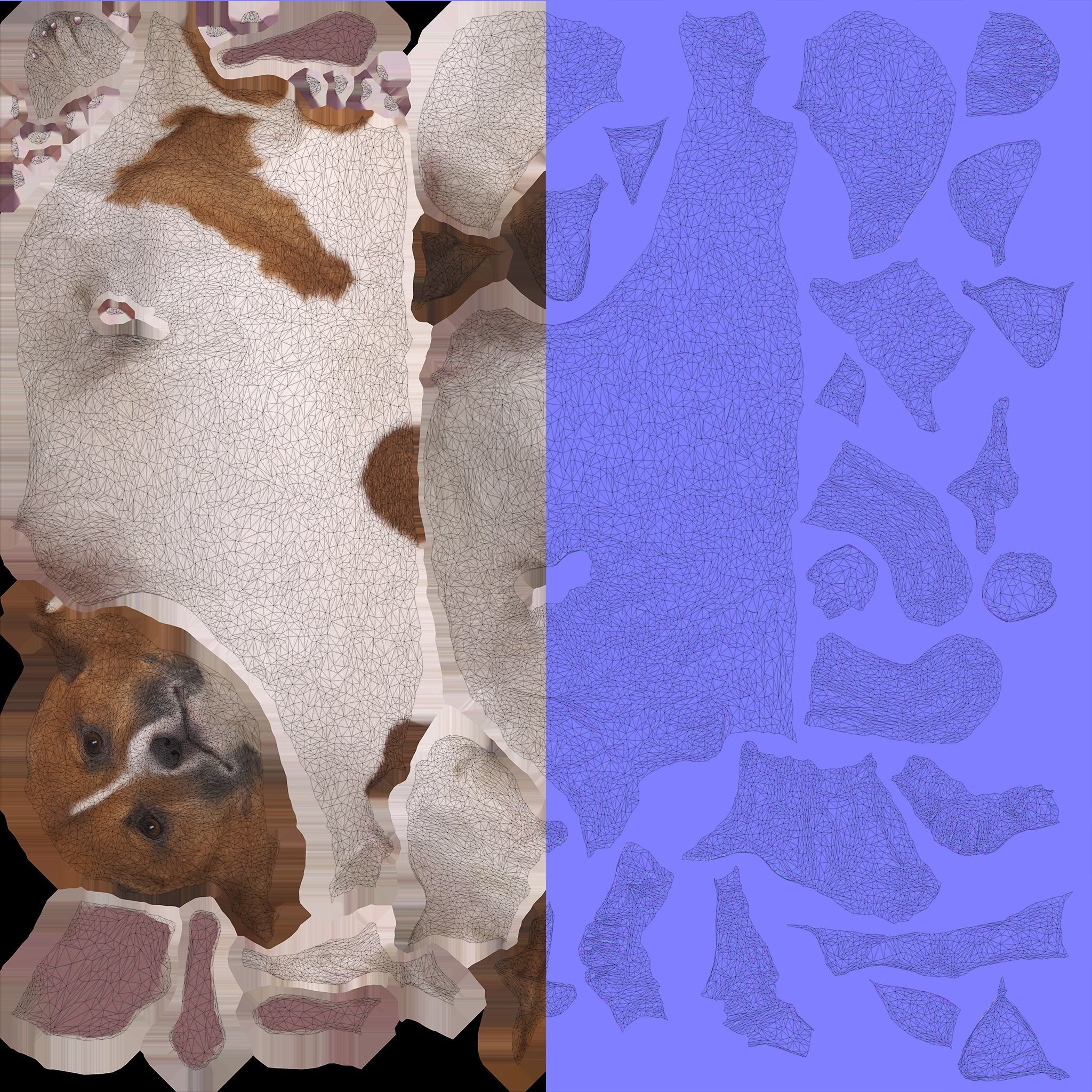 Jack Russell Sitting Low-poly 3D model_6