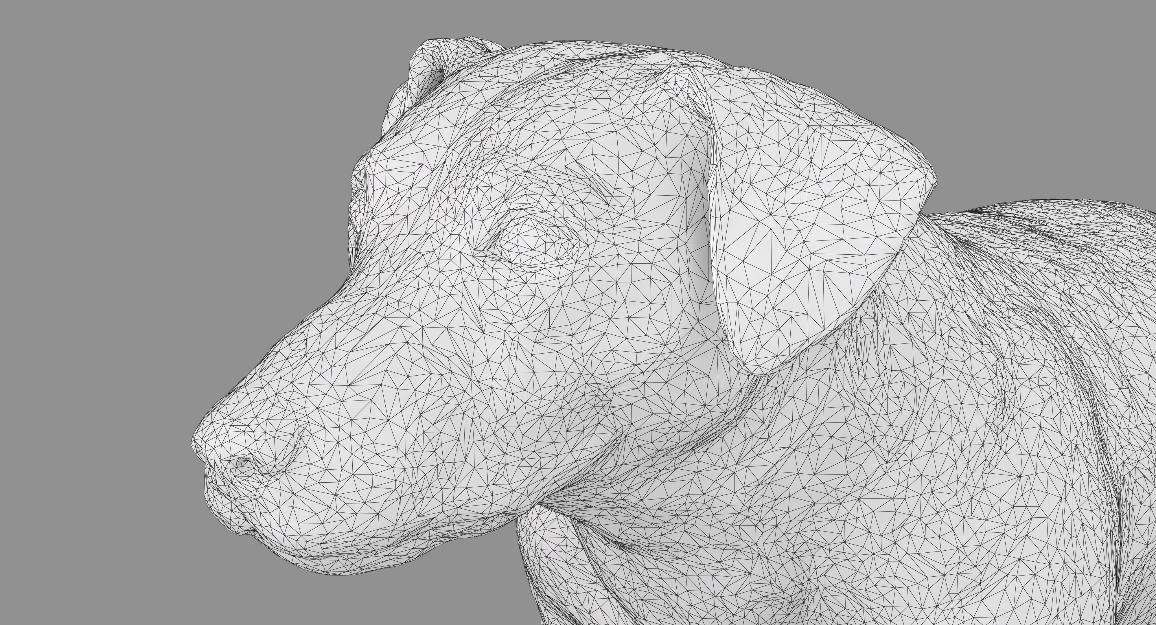 Jack Russell Sitting Low-poly 3D model_10