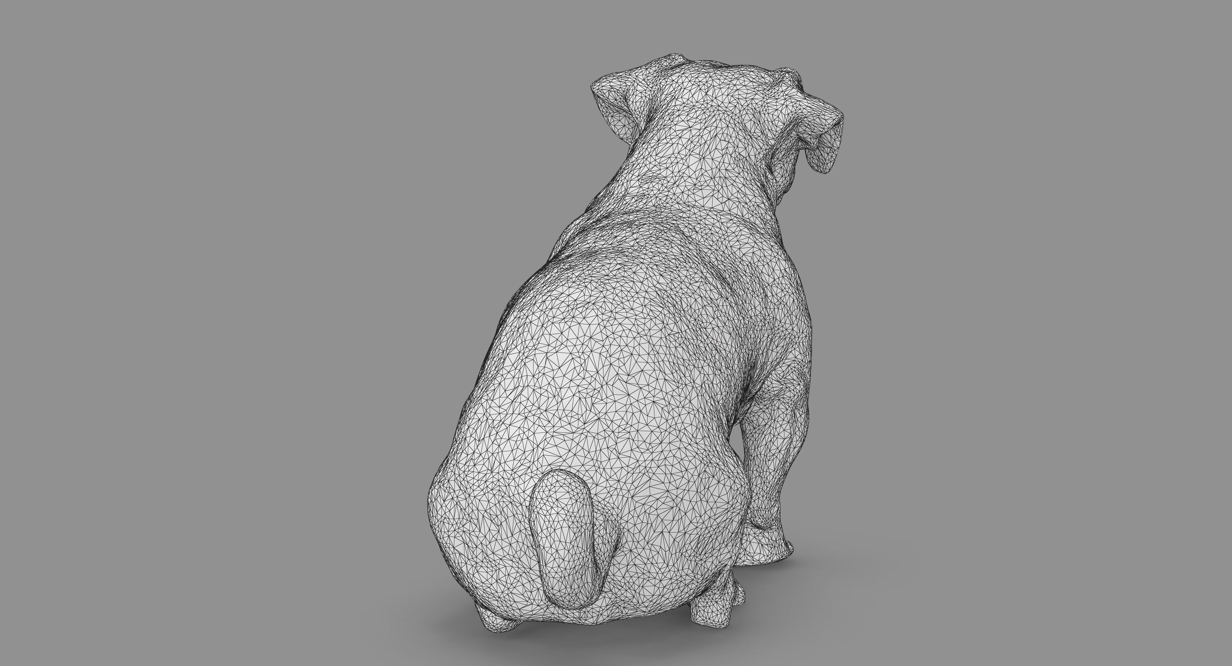 Jack Russell Sitting Low-poly 3D model_62