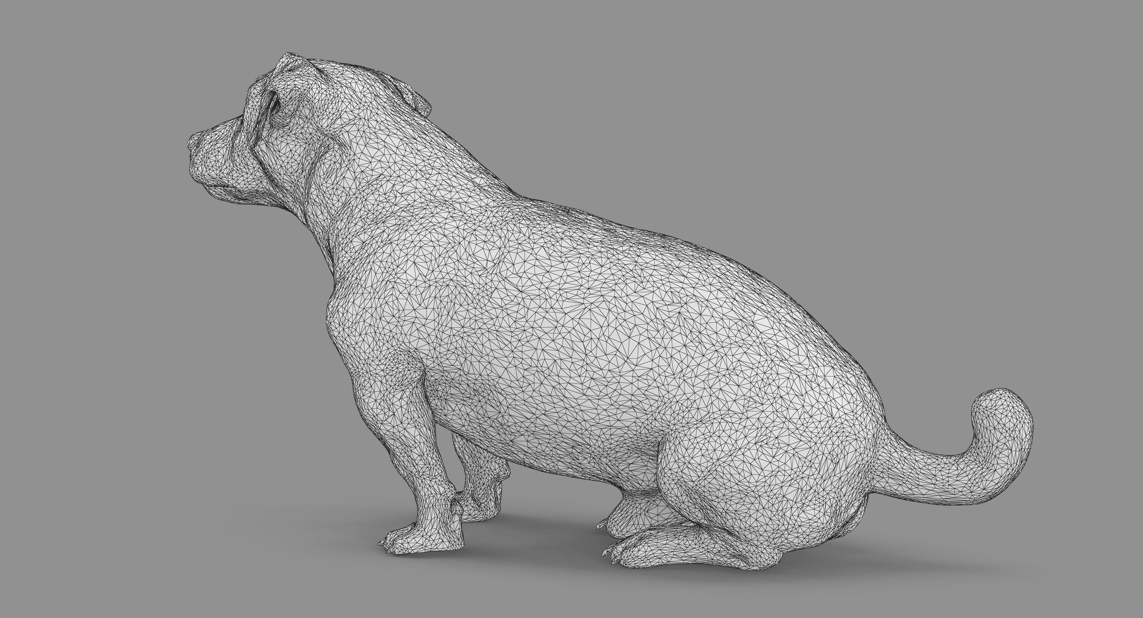 Jack Russell Sitting Low-poly 3D model_72