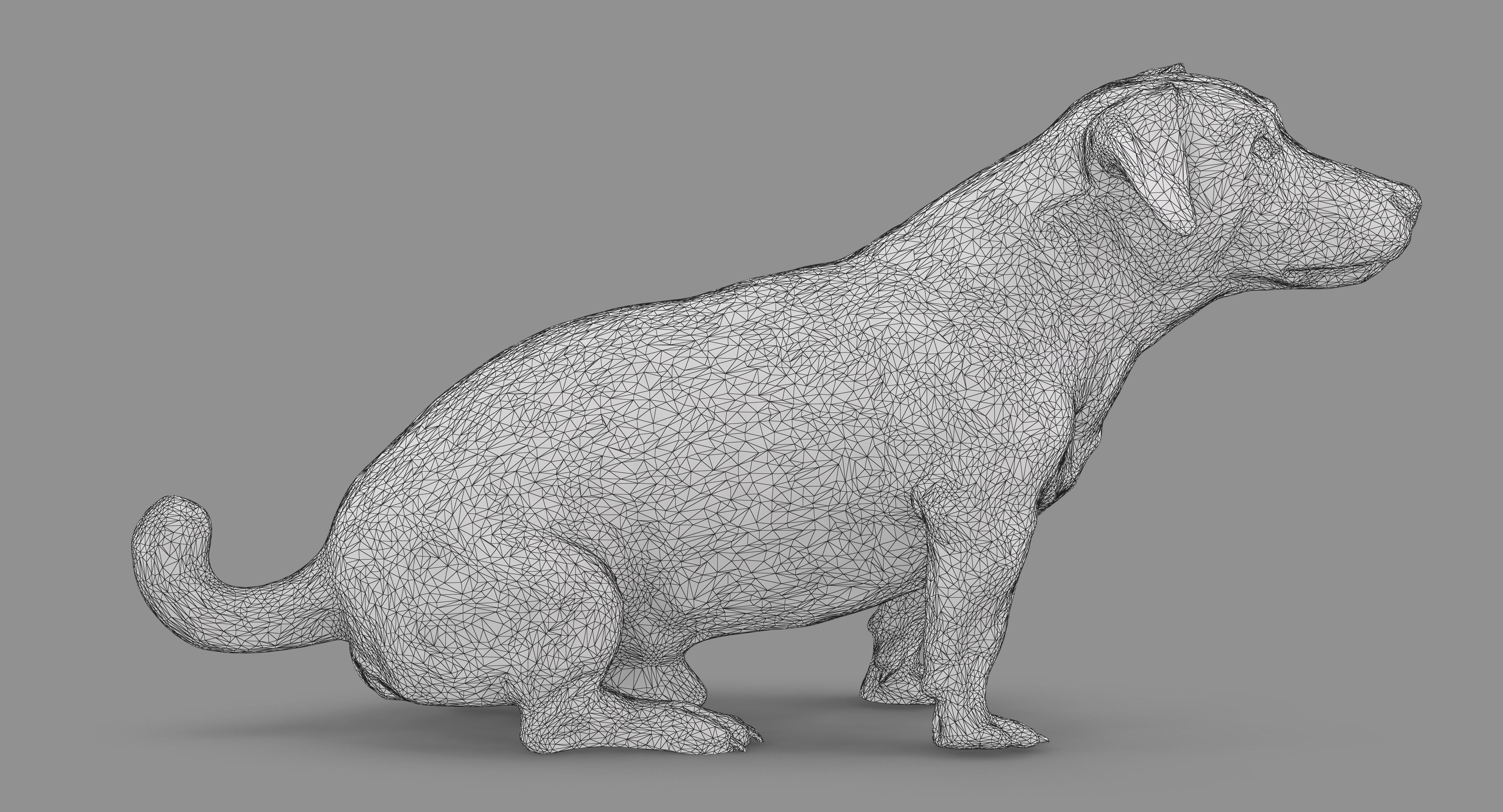 Jack Russell Sitting Low-poly 3D model_52