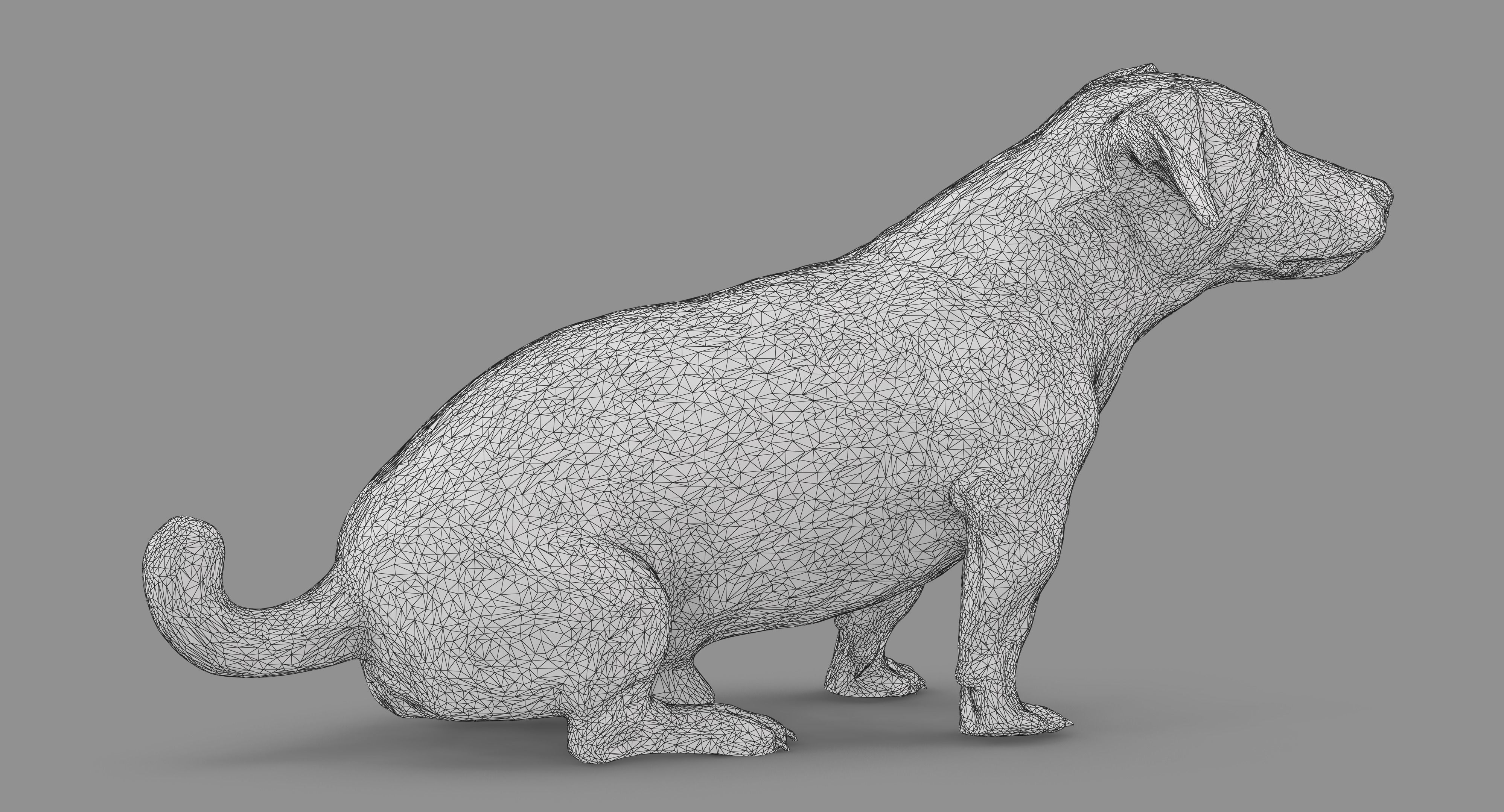 Jack Russell Sitting Low-poly 3D model_54