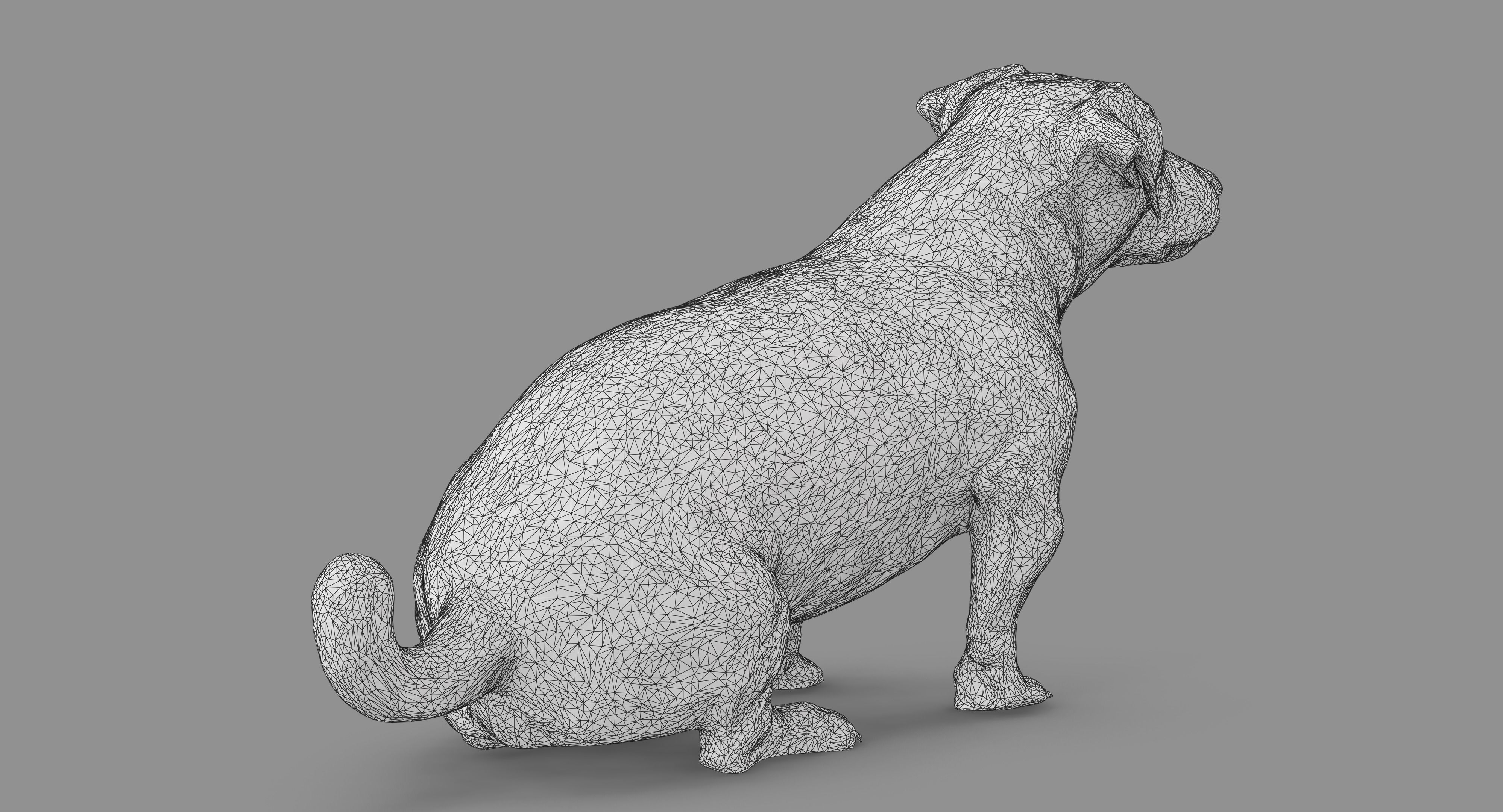 Jack Russell Sitting Low-poly 3D model_58
