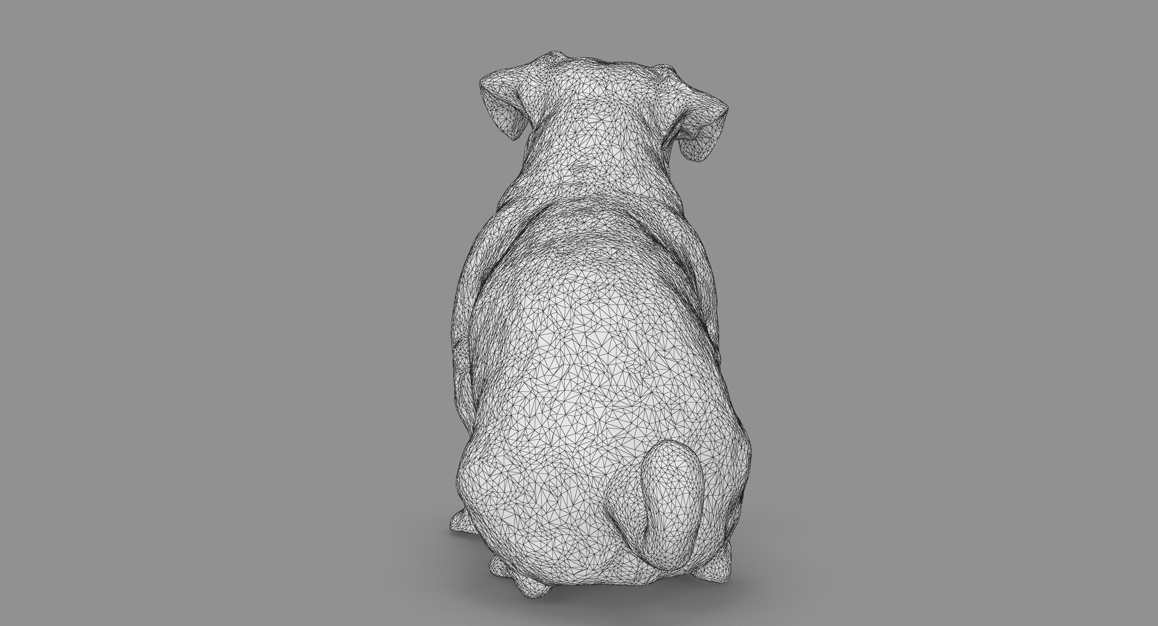 Jack Russell Sitting Low-poly 3D model_64