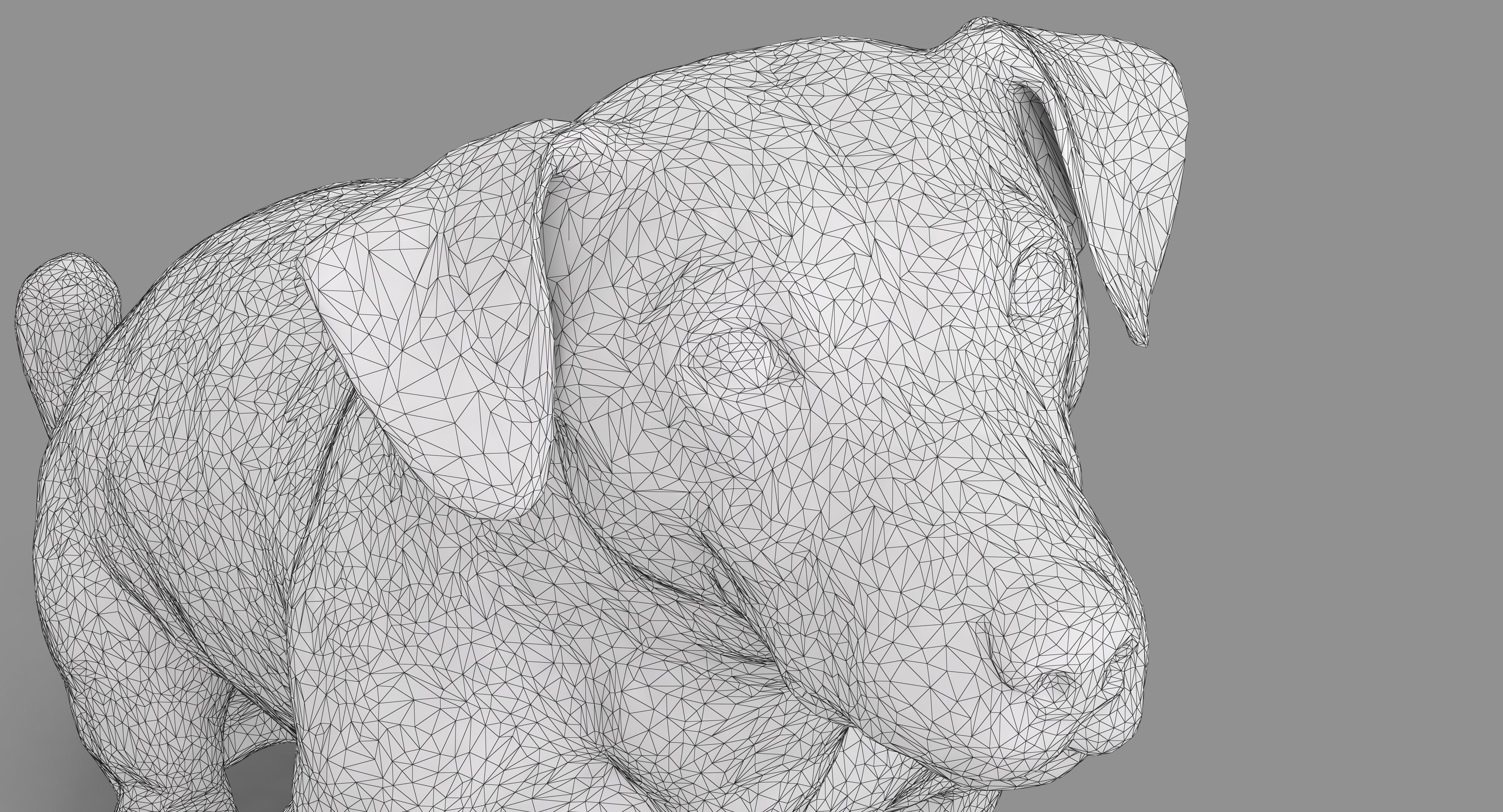 Jack Russell Sitting Low-poly 3D model_16