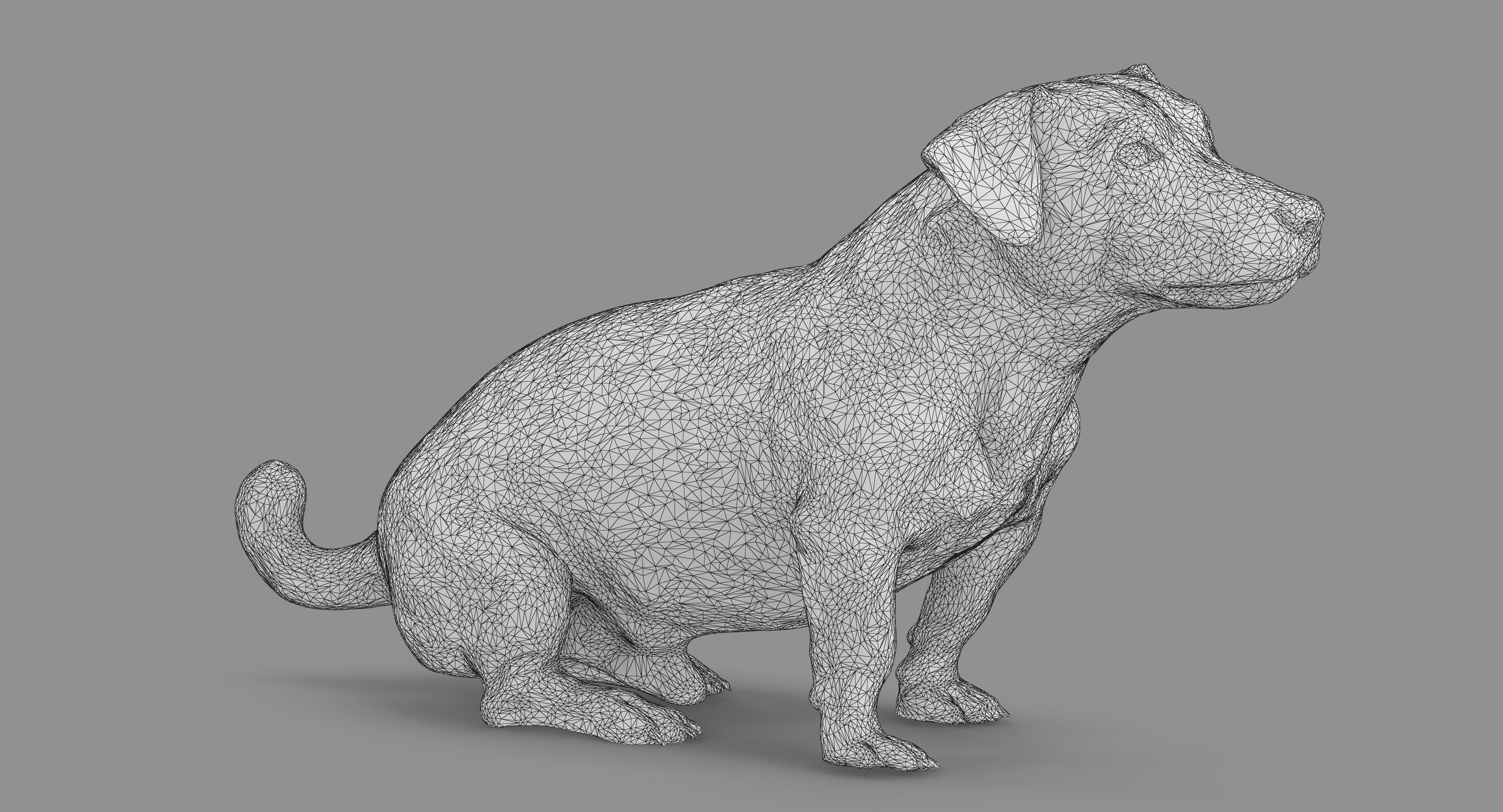Jack Russell Sitting Low-poly 3D model_48