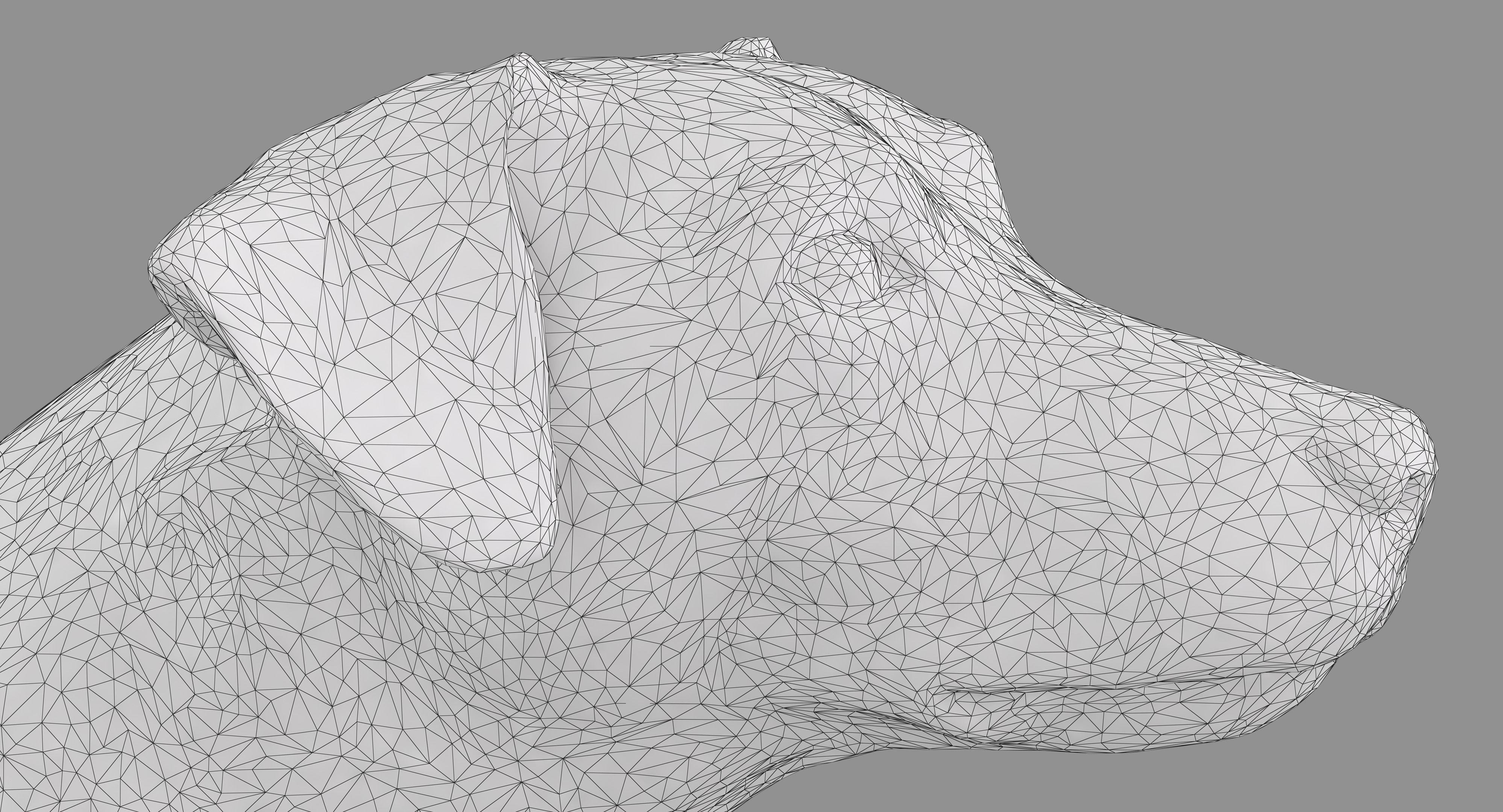 Jack Russell Sitting Low-poly 3D model_20