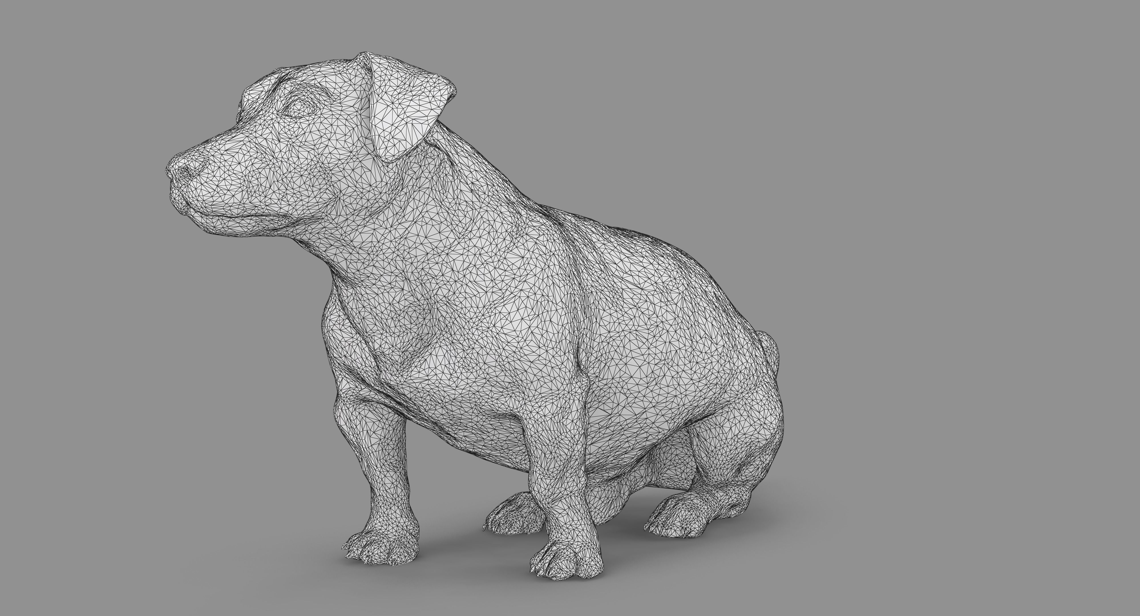 Jack Russell Sitting Low-poly 3D model_82