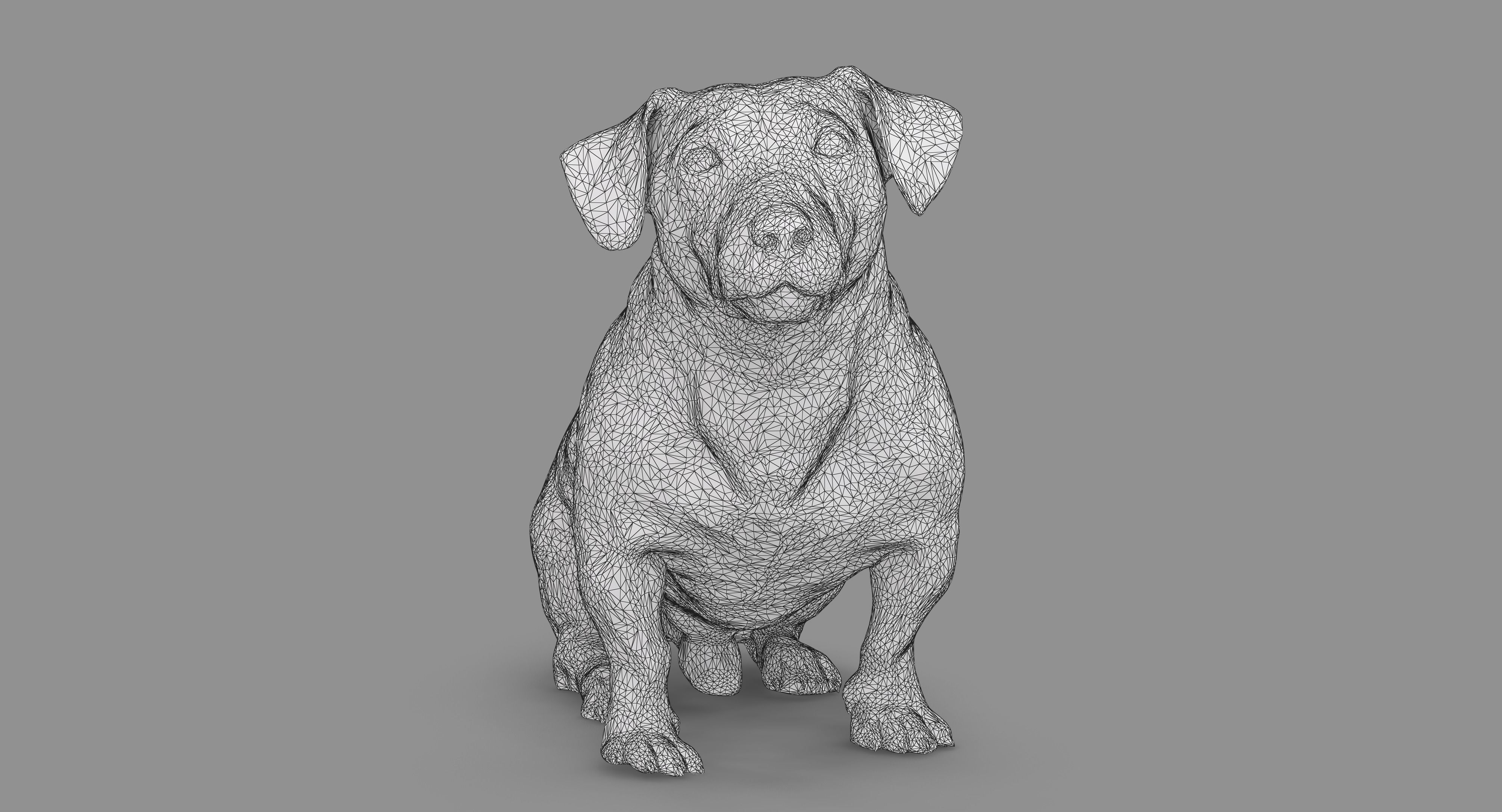 Jack Russell Sitting Low-poly 3D model_88