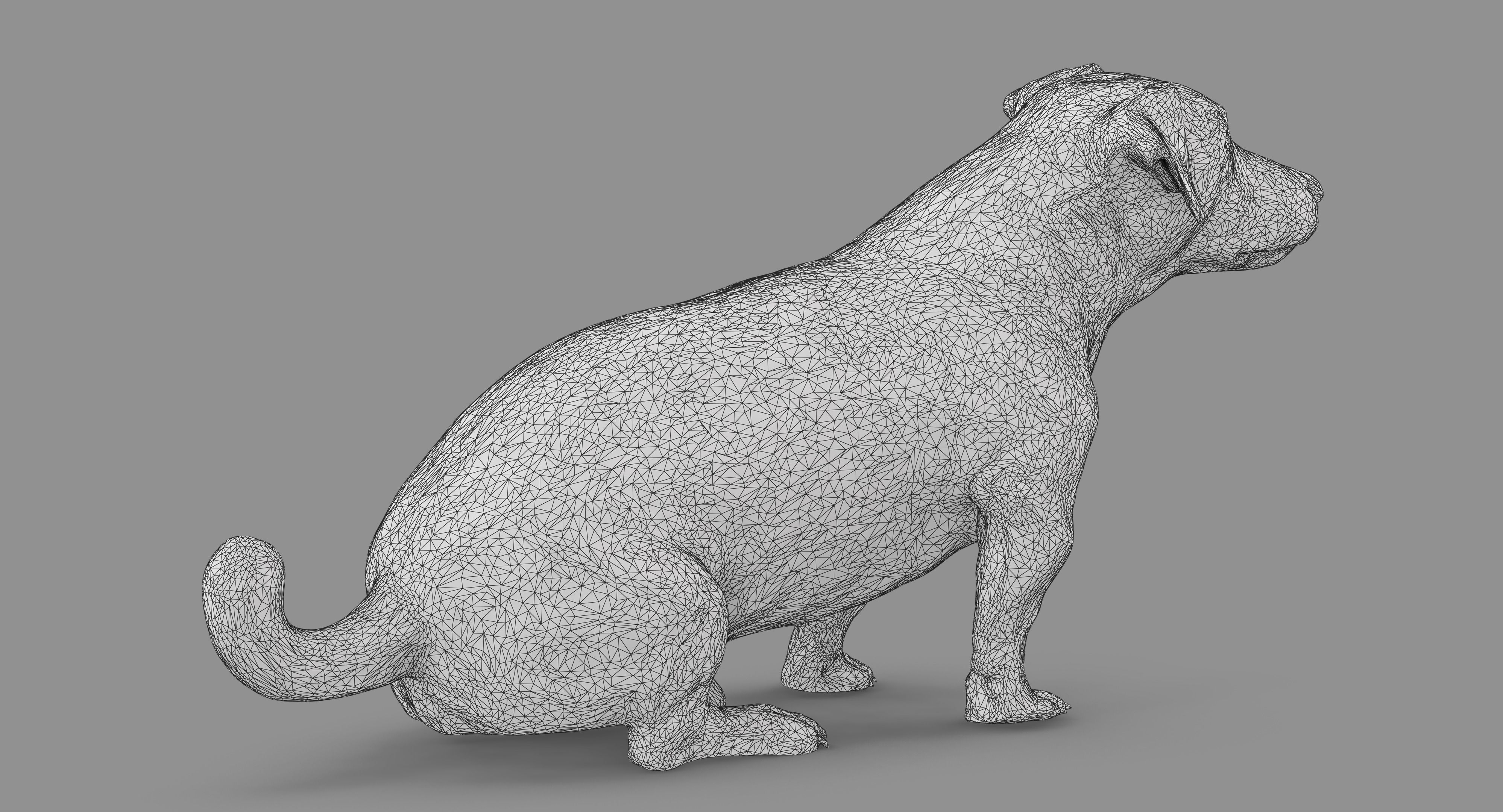 Jack Russell Sitting Low-poly 3D model_56