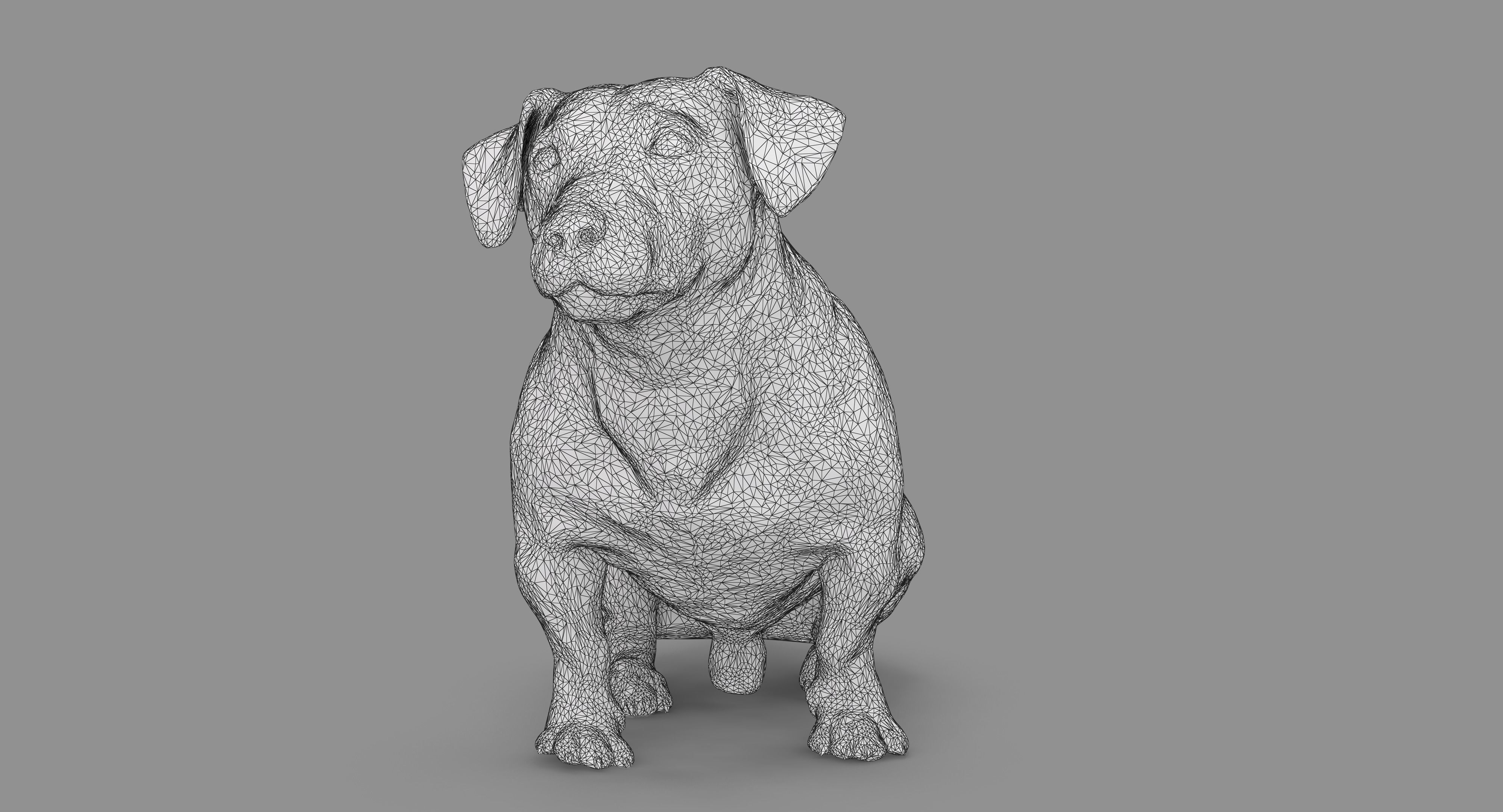 Jack Russell Sitting Low-poly 3D model_86