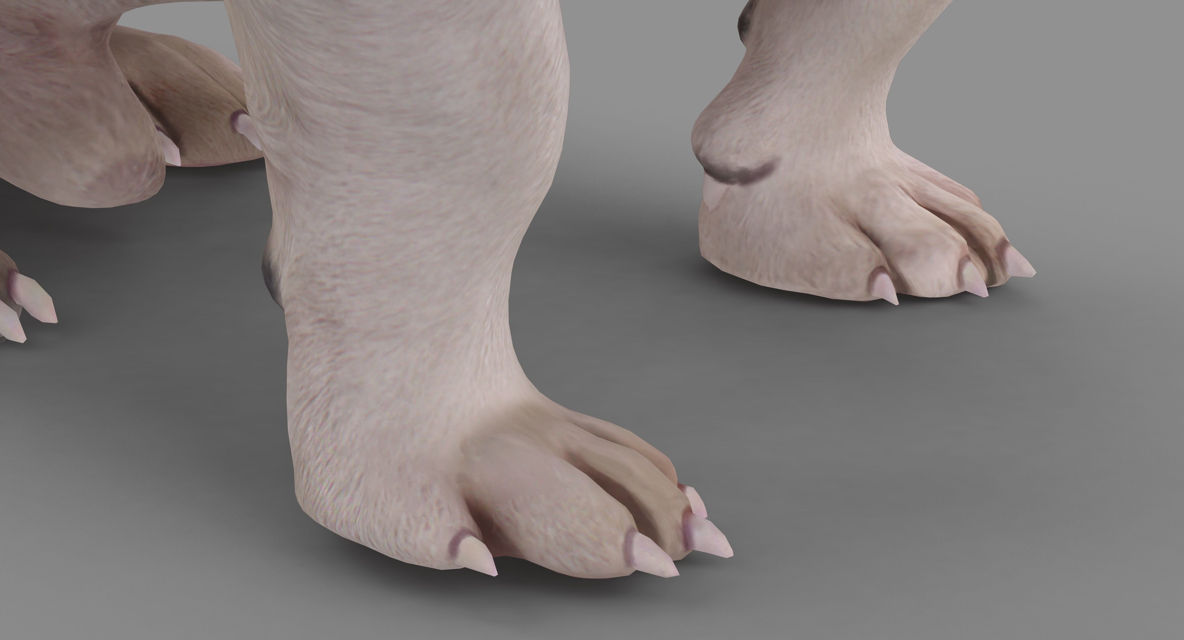 Jack Russell Sitting Low-poly 3D model_25