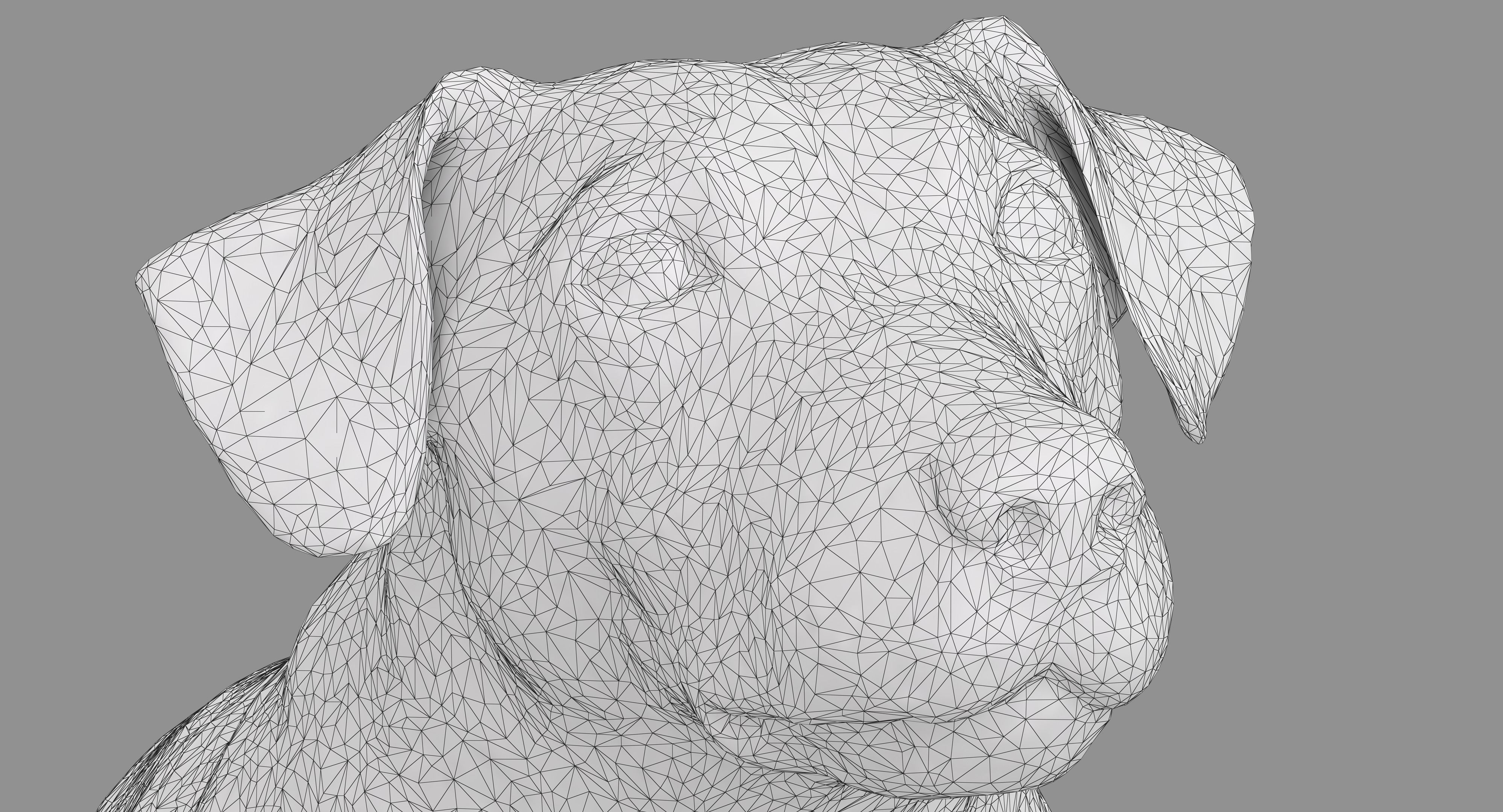 Jack Russell Sitting Low-poly 3D model_14