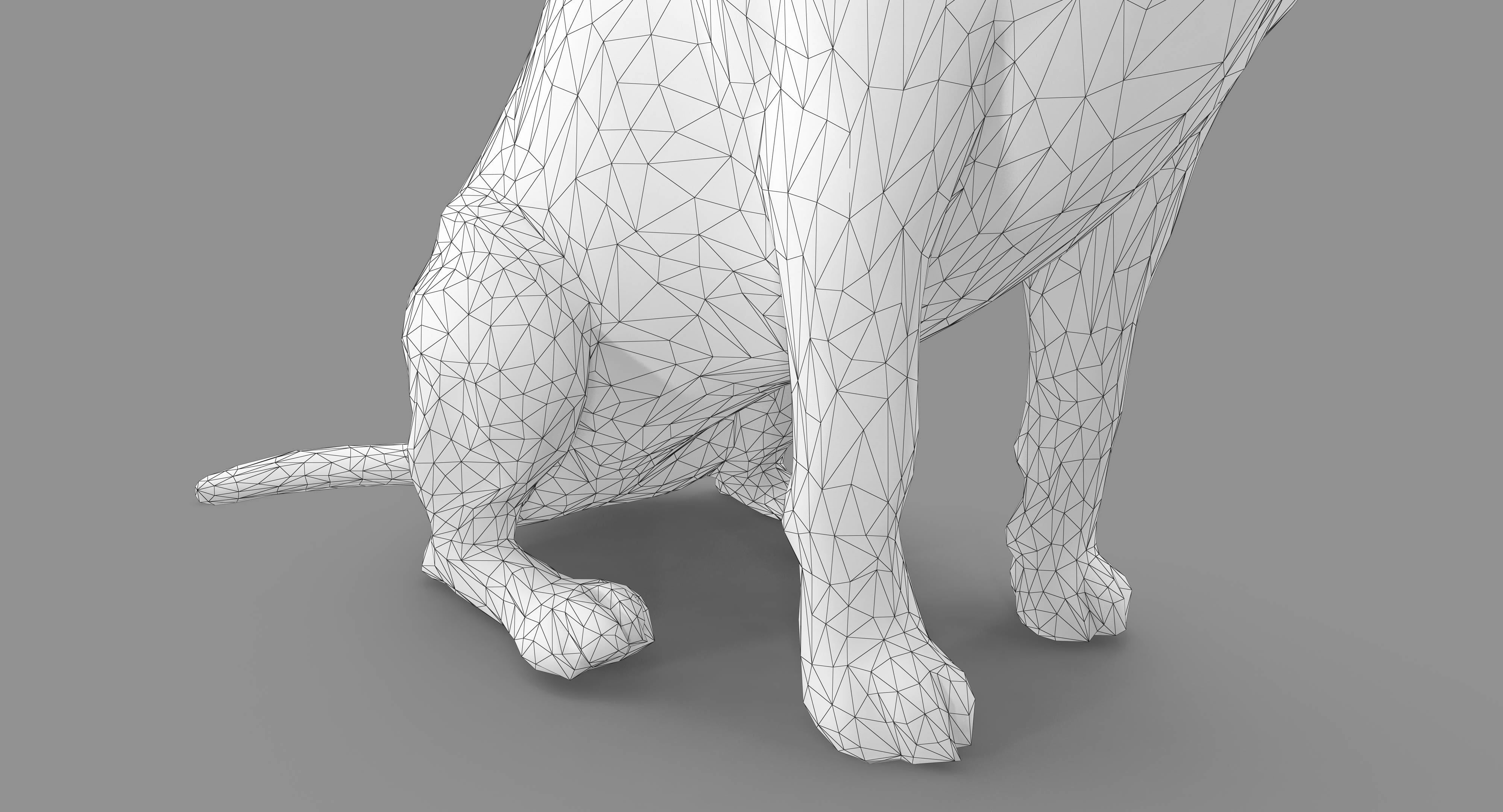 Dog Collection x4 3D model_16