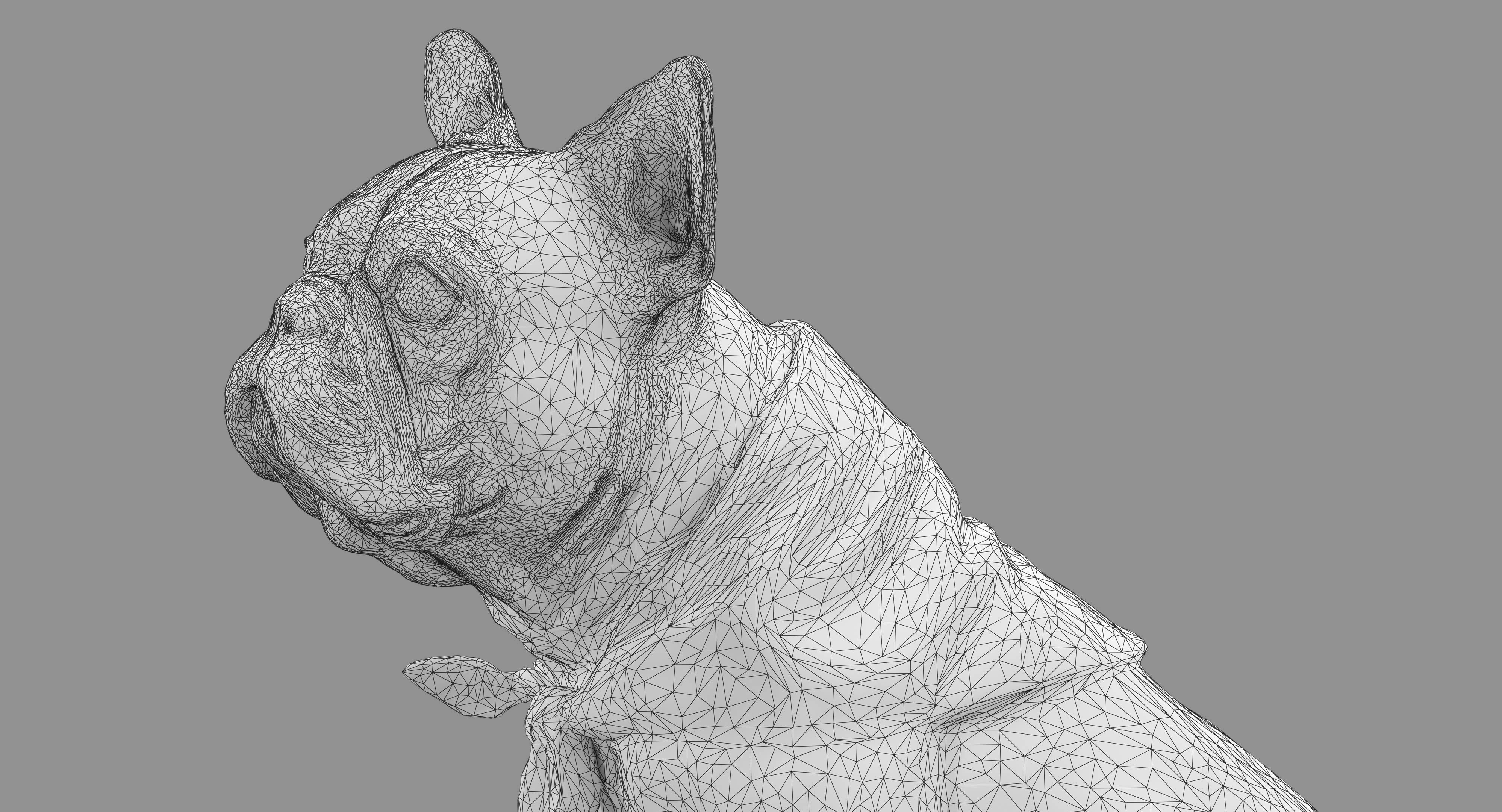 Dog Collection x4 3D model_37