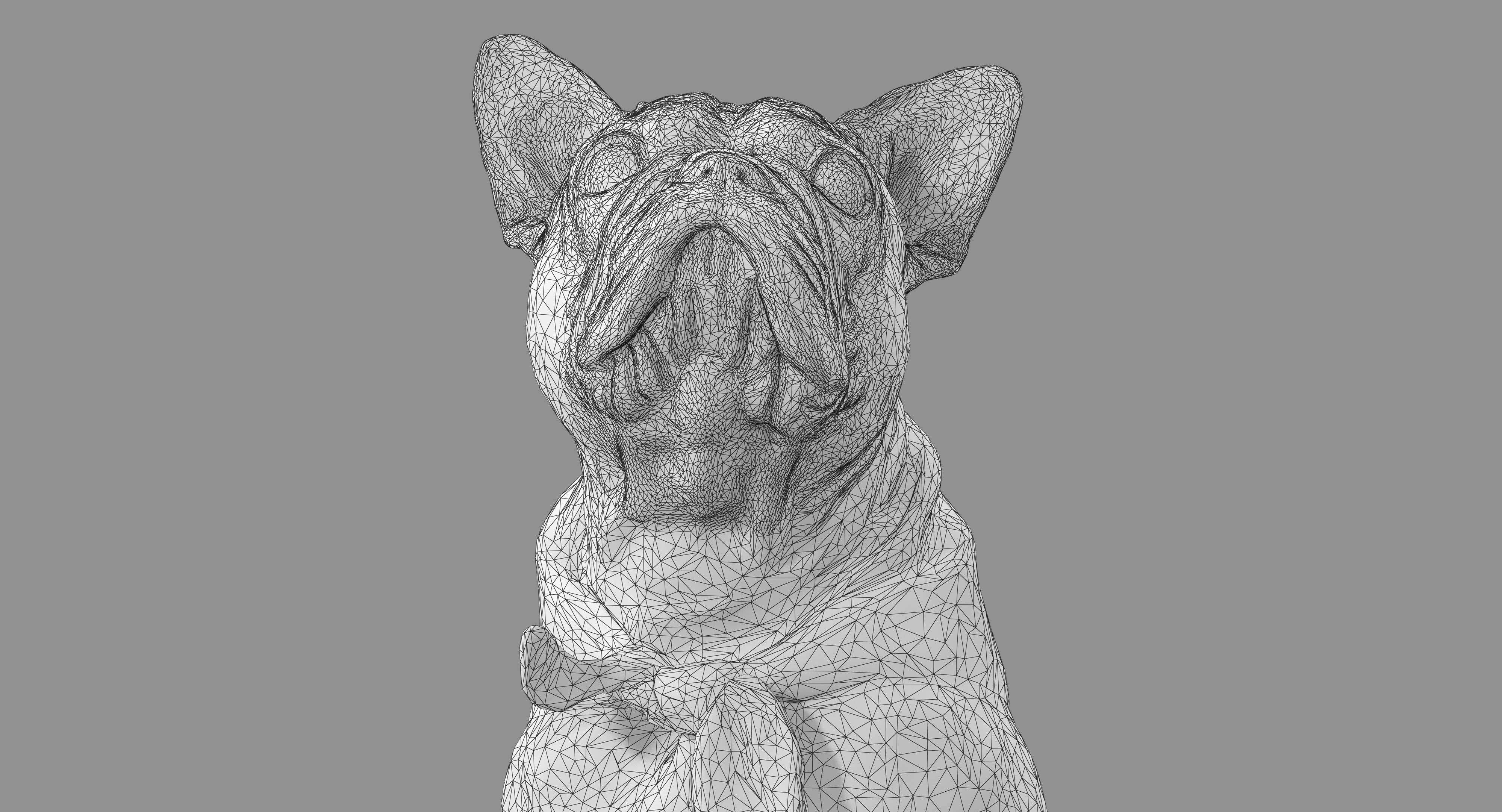 Dog Collection x4 3D model_43