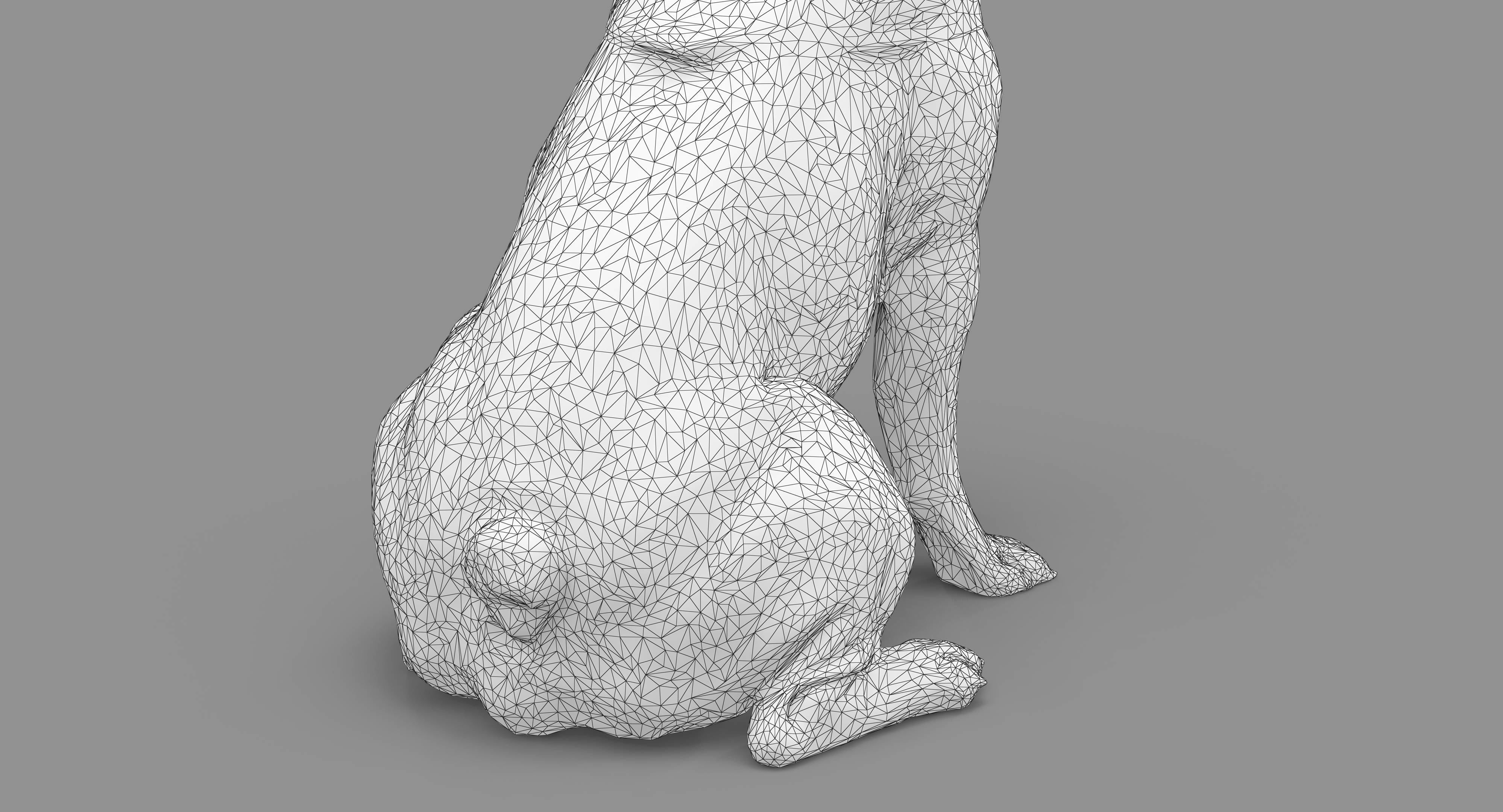 Dog Collection x4 3D model_39