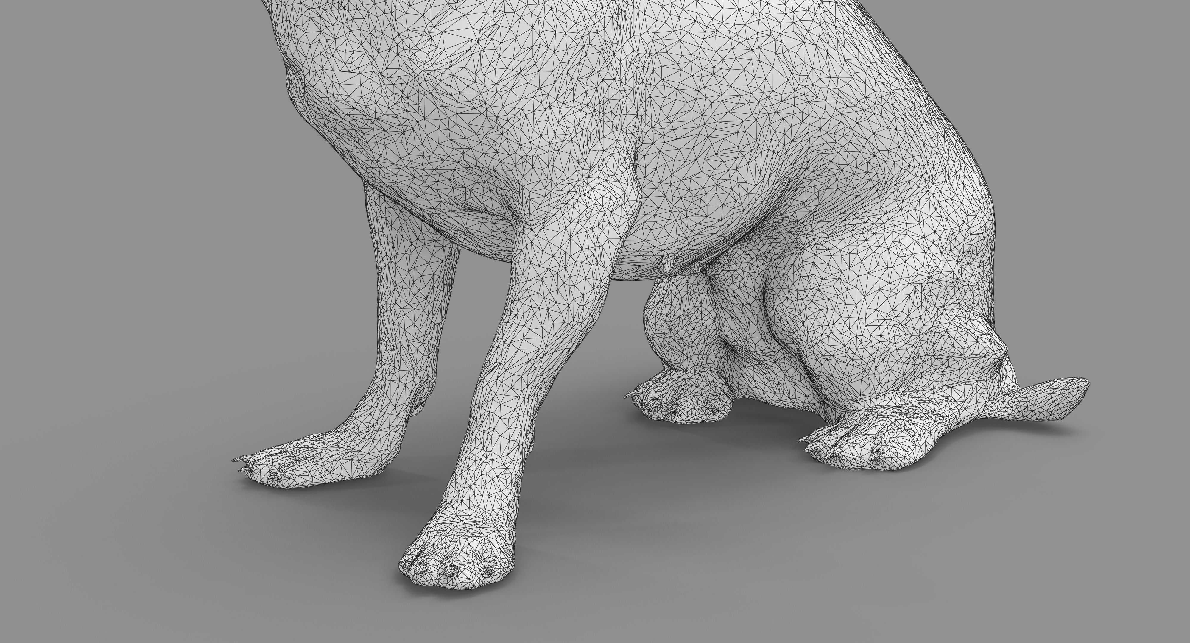 Dog Collection x4 3D model_34