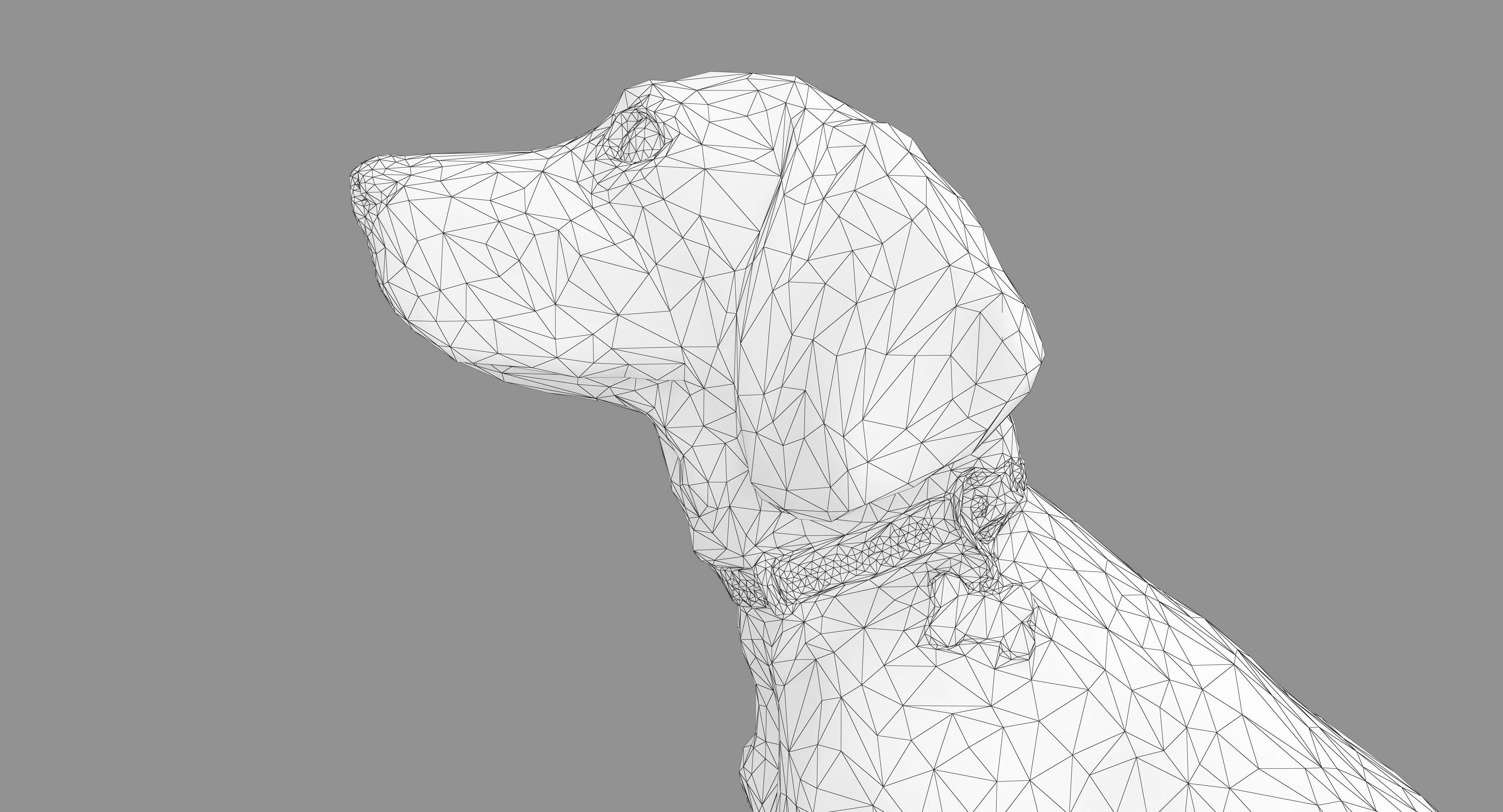 Dog Collection x4 3D model_10