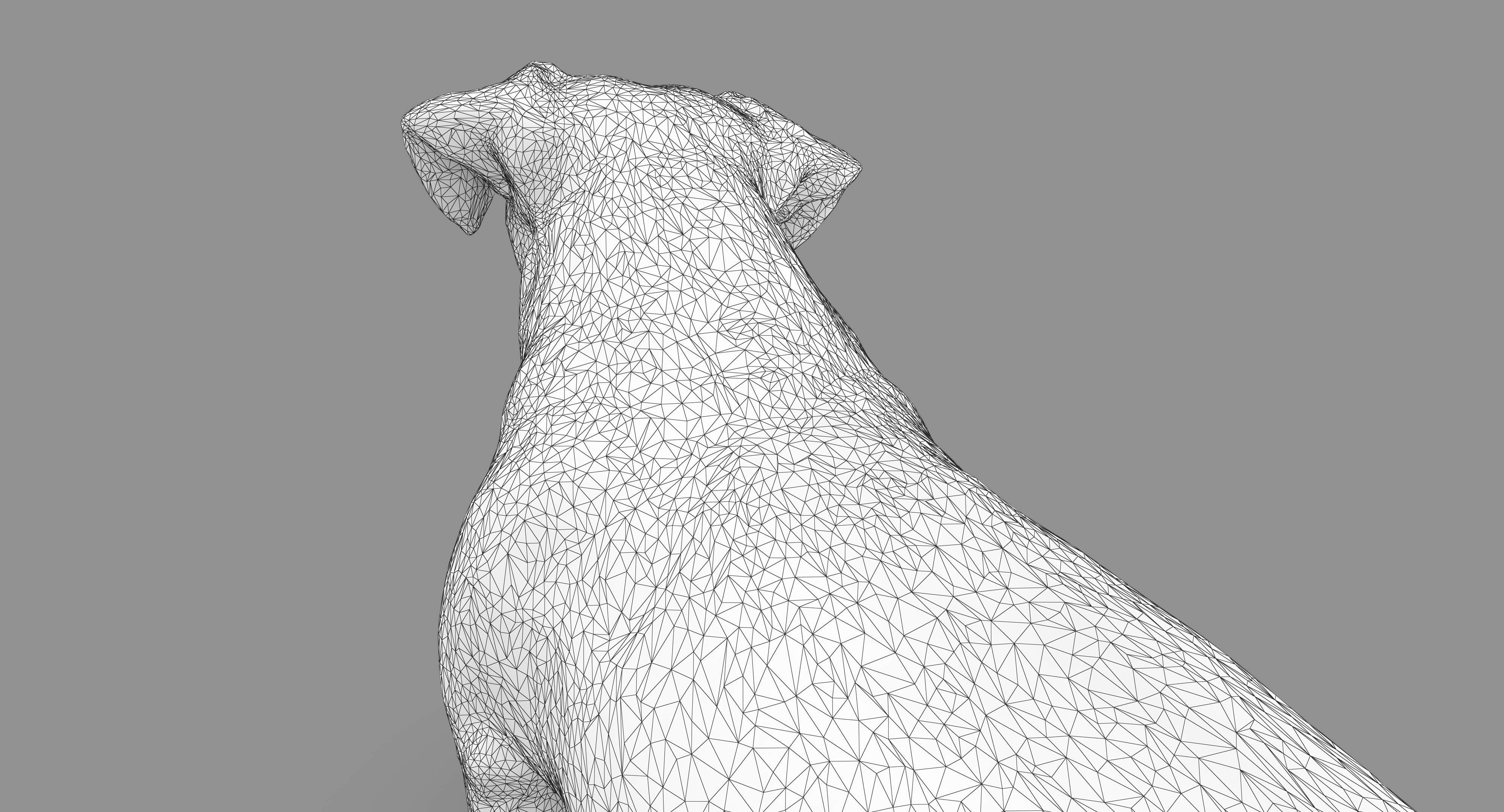 Dog Collection x4 3D model_21