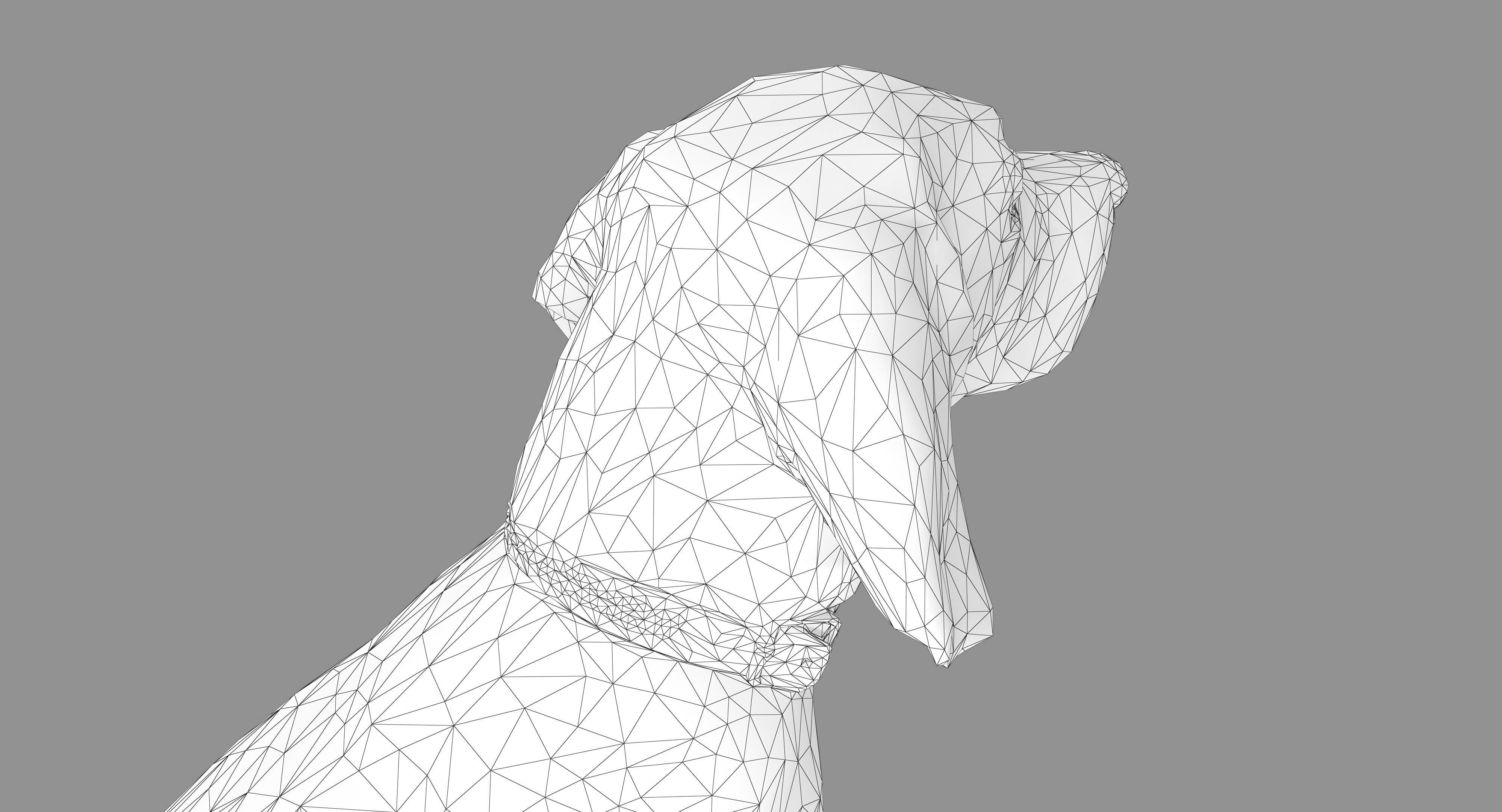 Dog Collection x4 3D model_14