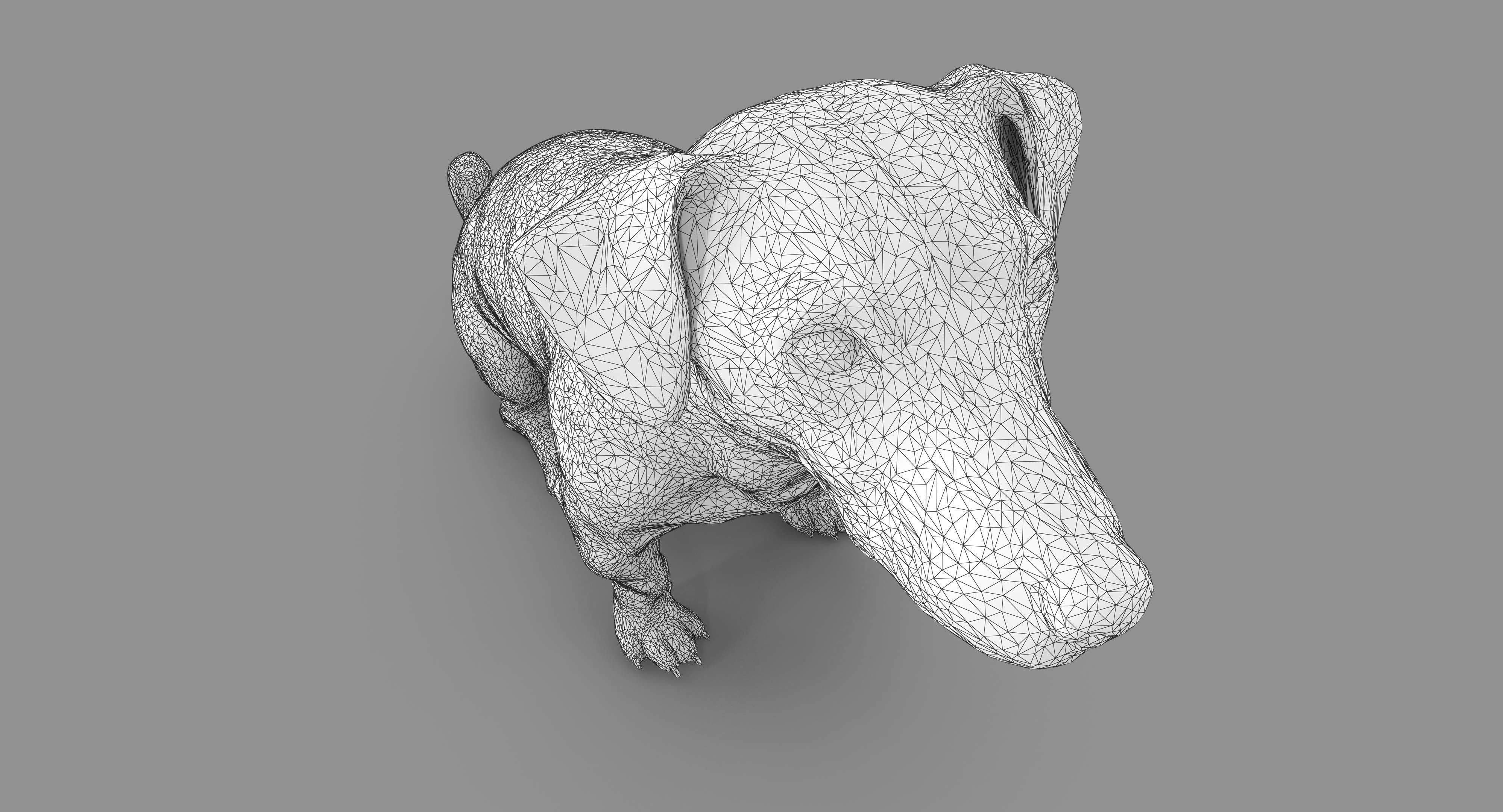 Dog Collection x4 3D model_19