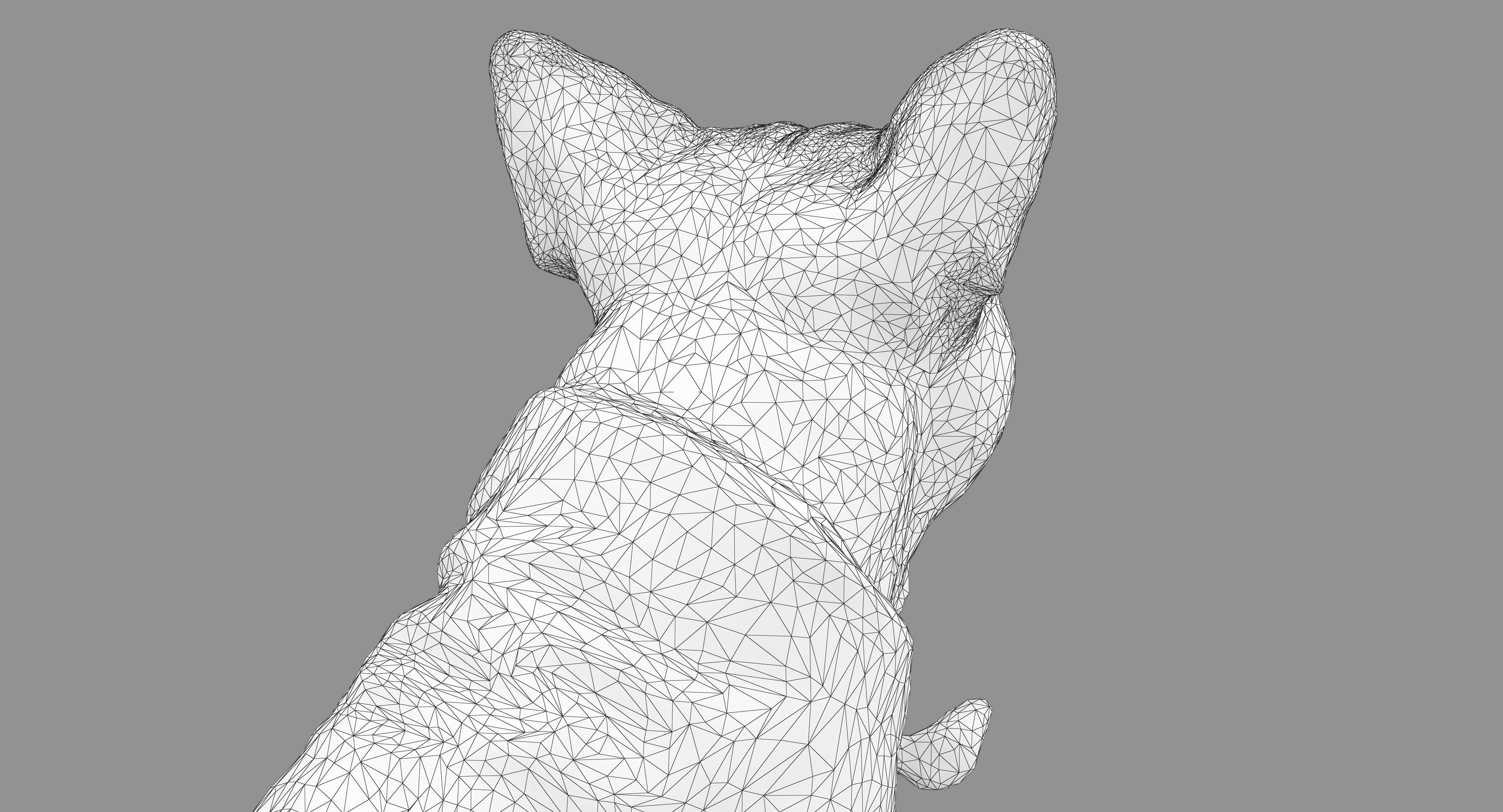 Dog Collection x4 3D model_45