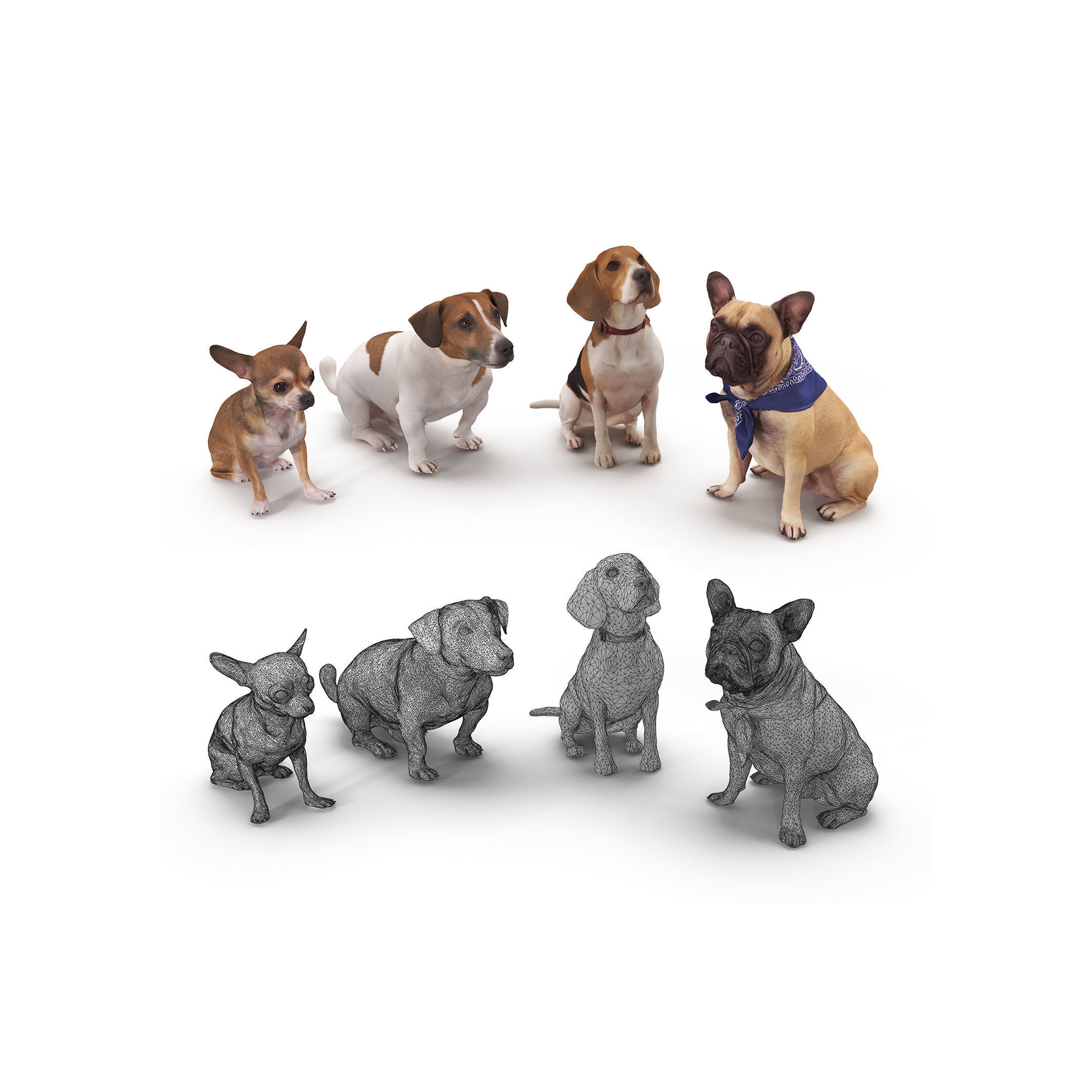 Dog Collection x4 3D model_0