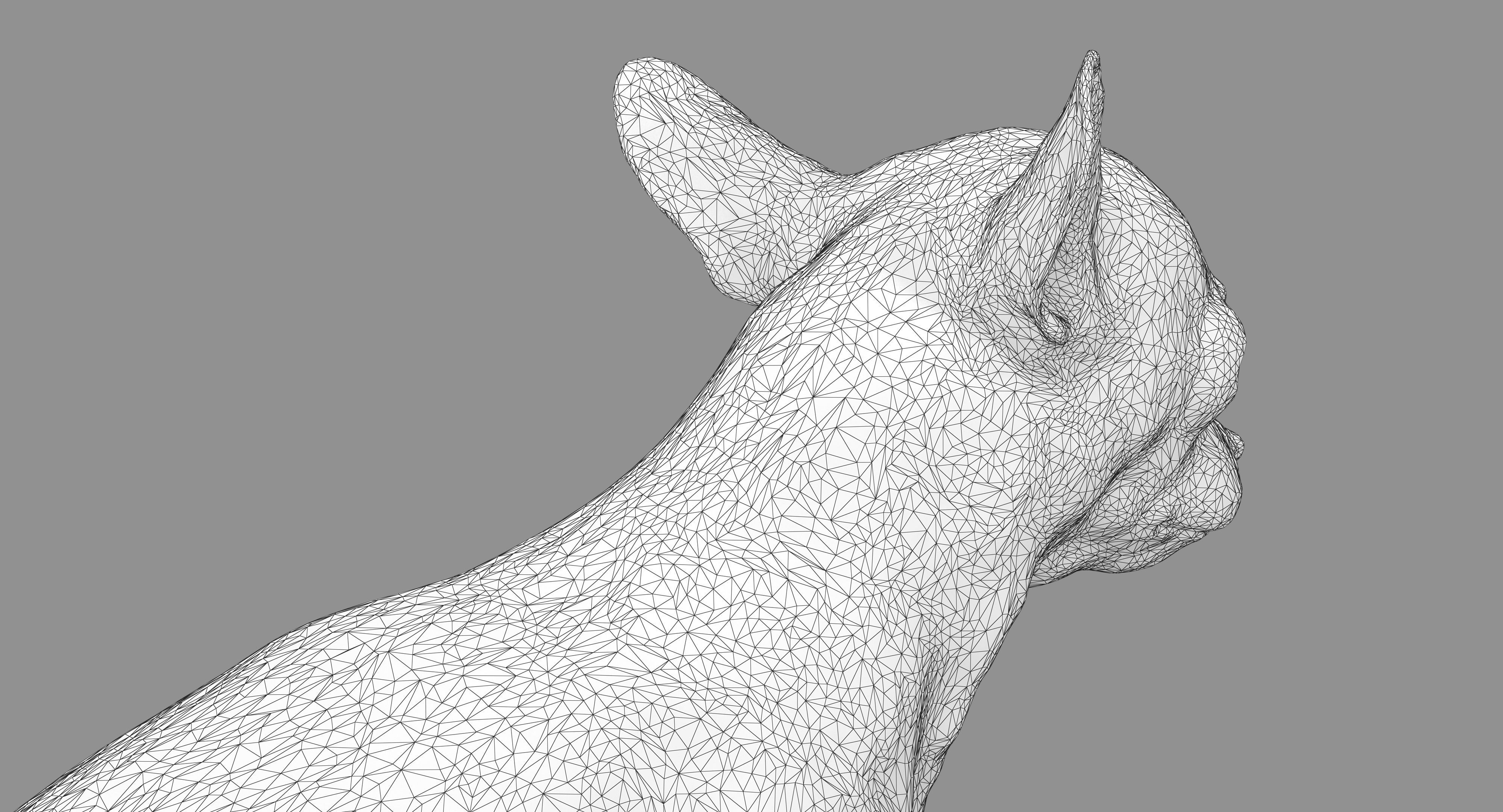 Dog Collection x4 3D model_32
