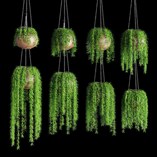Hanging plants in pots on a chain 8 models 3D model