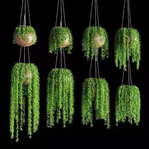 Hanging plants in pots on a chain 8 models 3D model