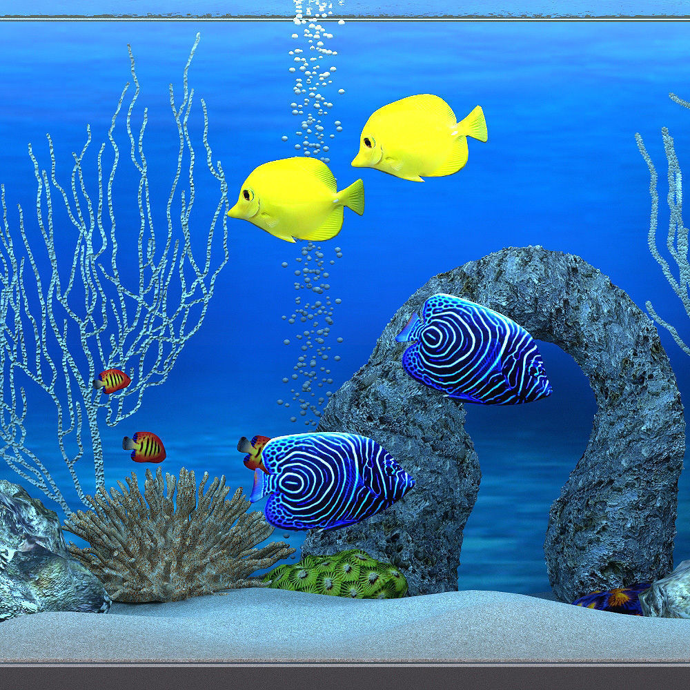 aquarium fish tank with city 3D model_1