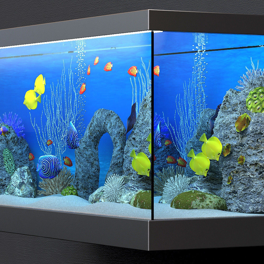 aquarium fish tank with city 3D model_2