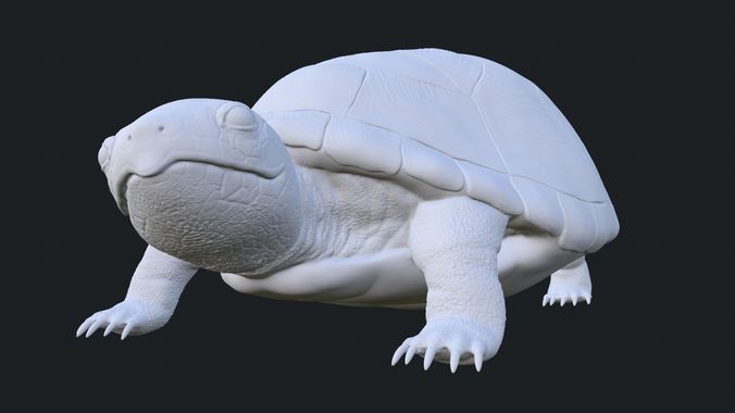 Realistic Turtle Toy 3D print model