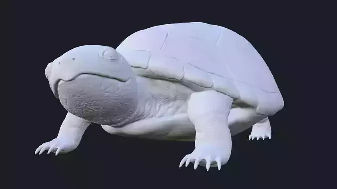 Realistic Turtle Toy 3D print model